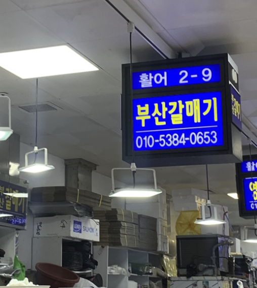 부산갈매기