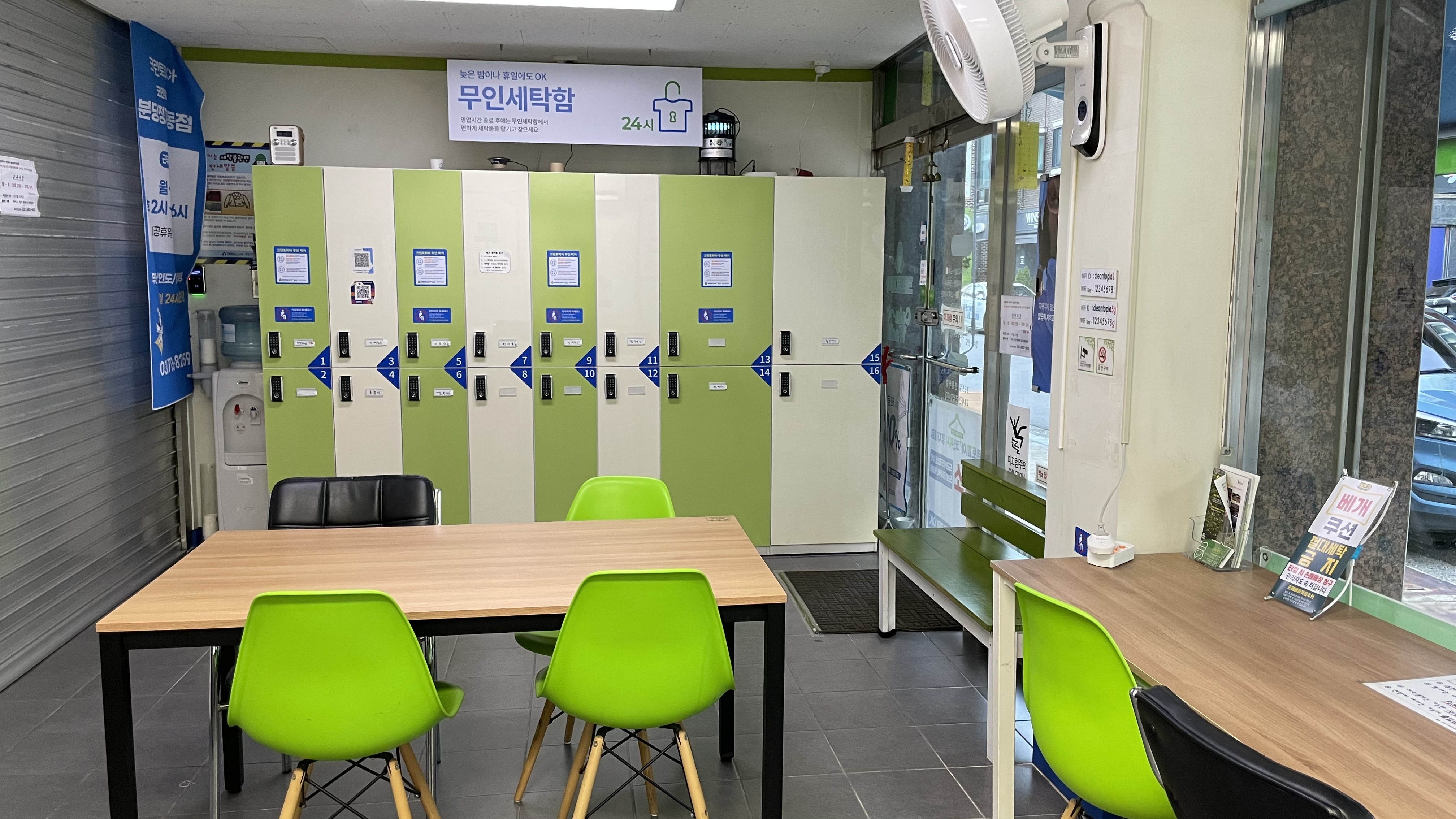 크린토피아 코인워시 분당정자1동점