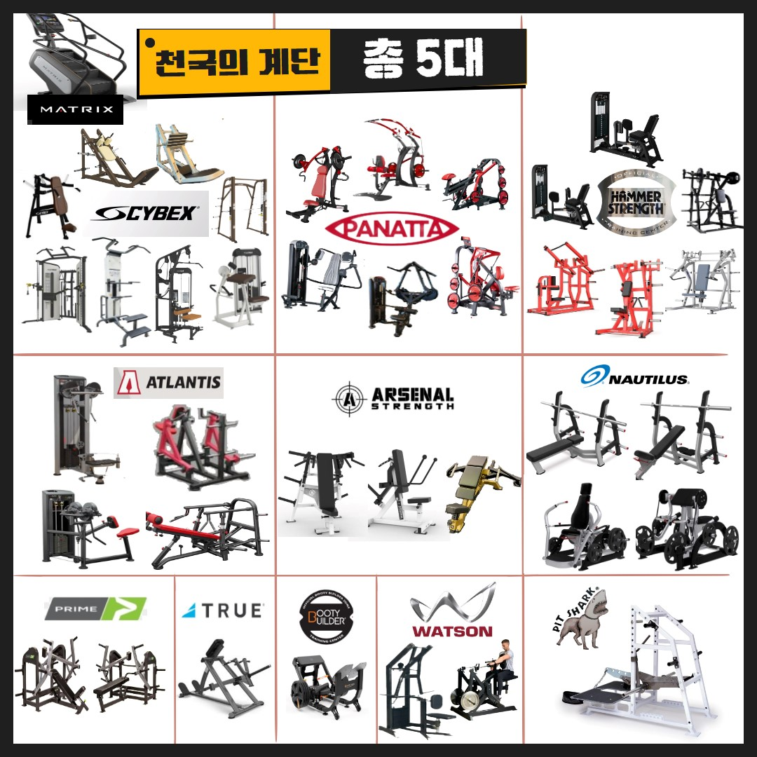 머슬프로짐 PT 헬스 내부 또는 관련 모습