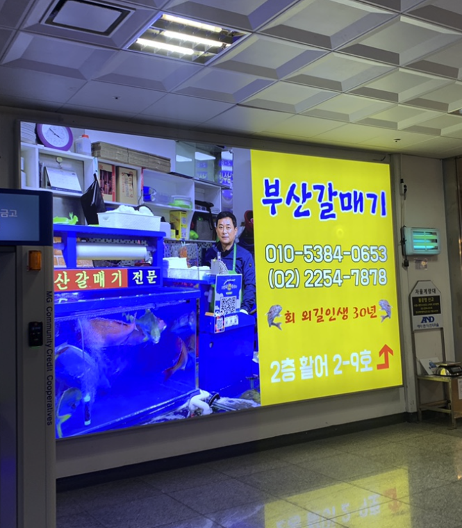 부산갈매기