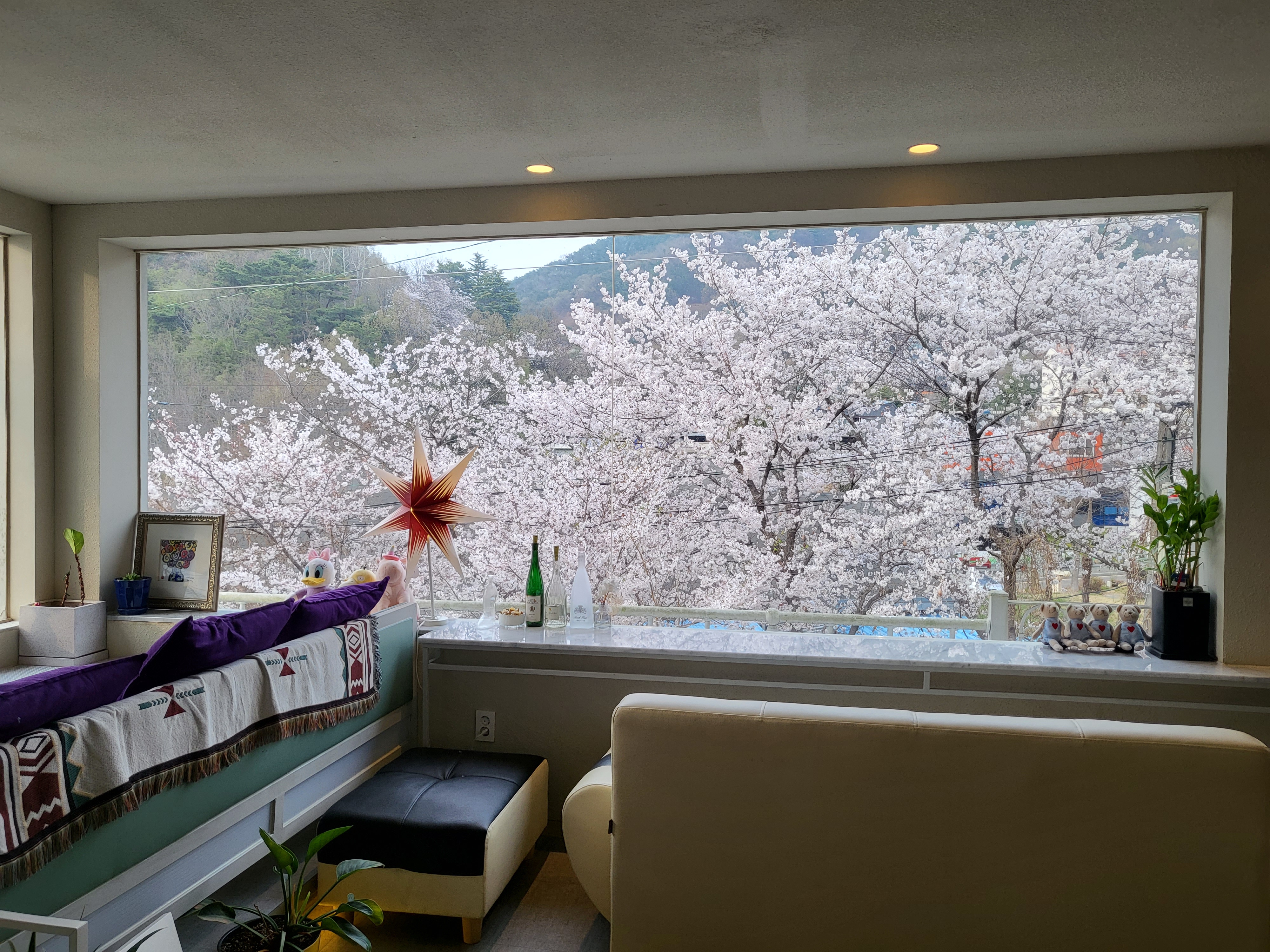 피오르 3