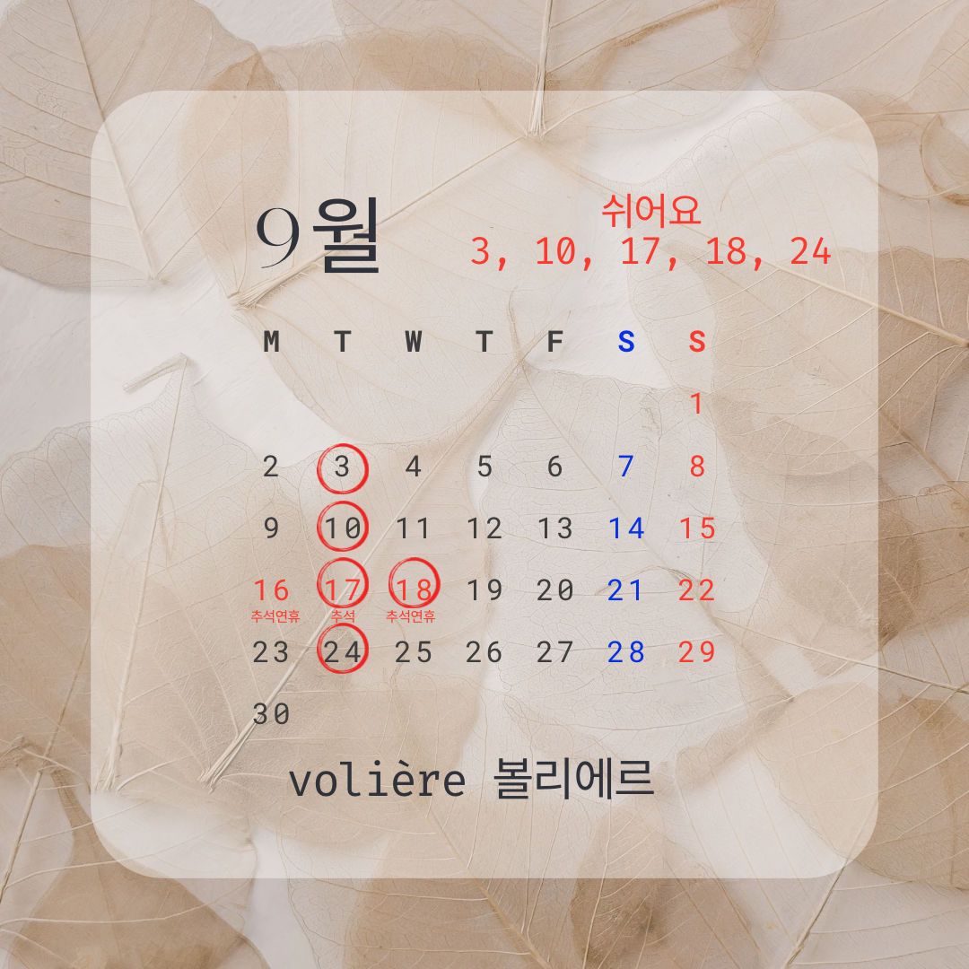볼리에르