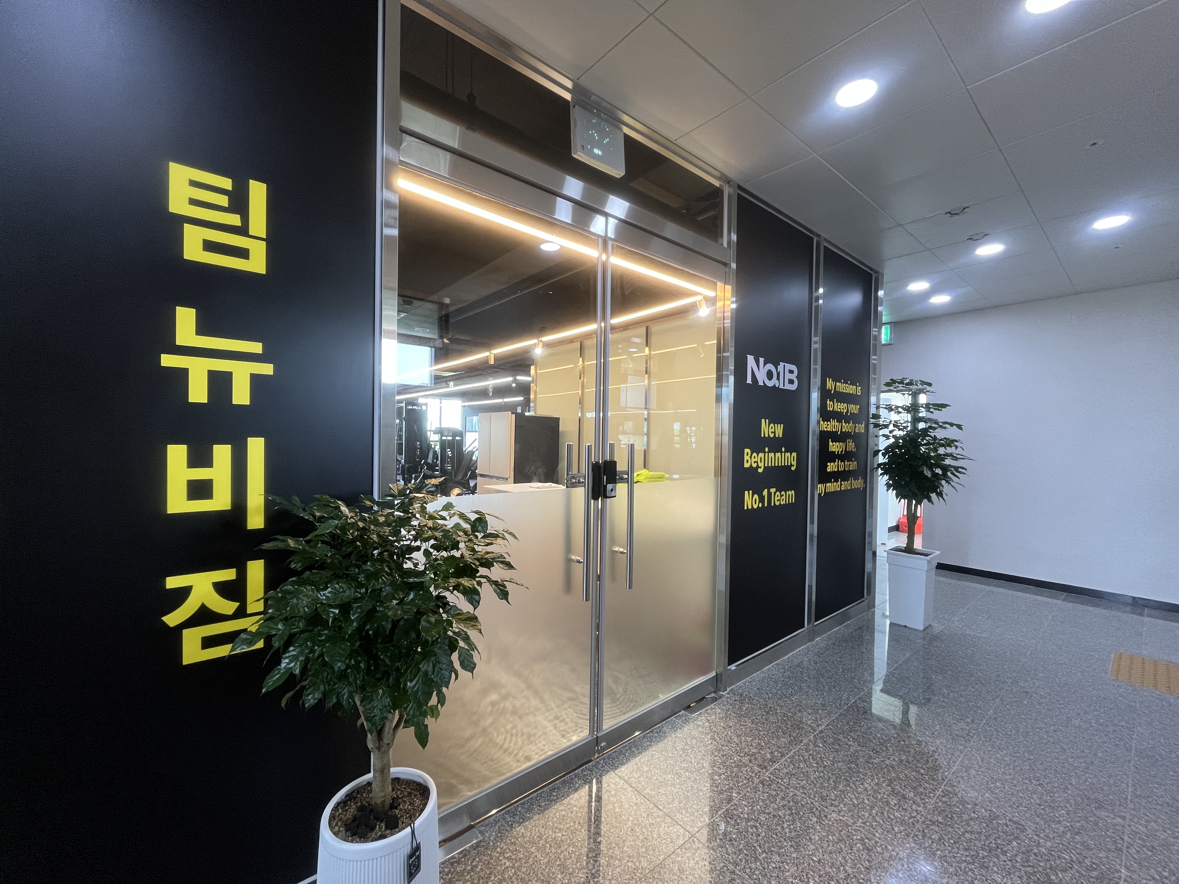팀 뉴비짐