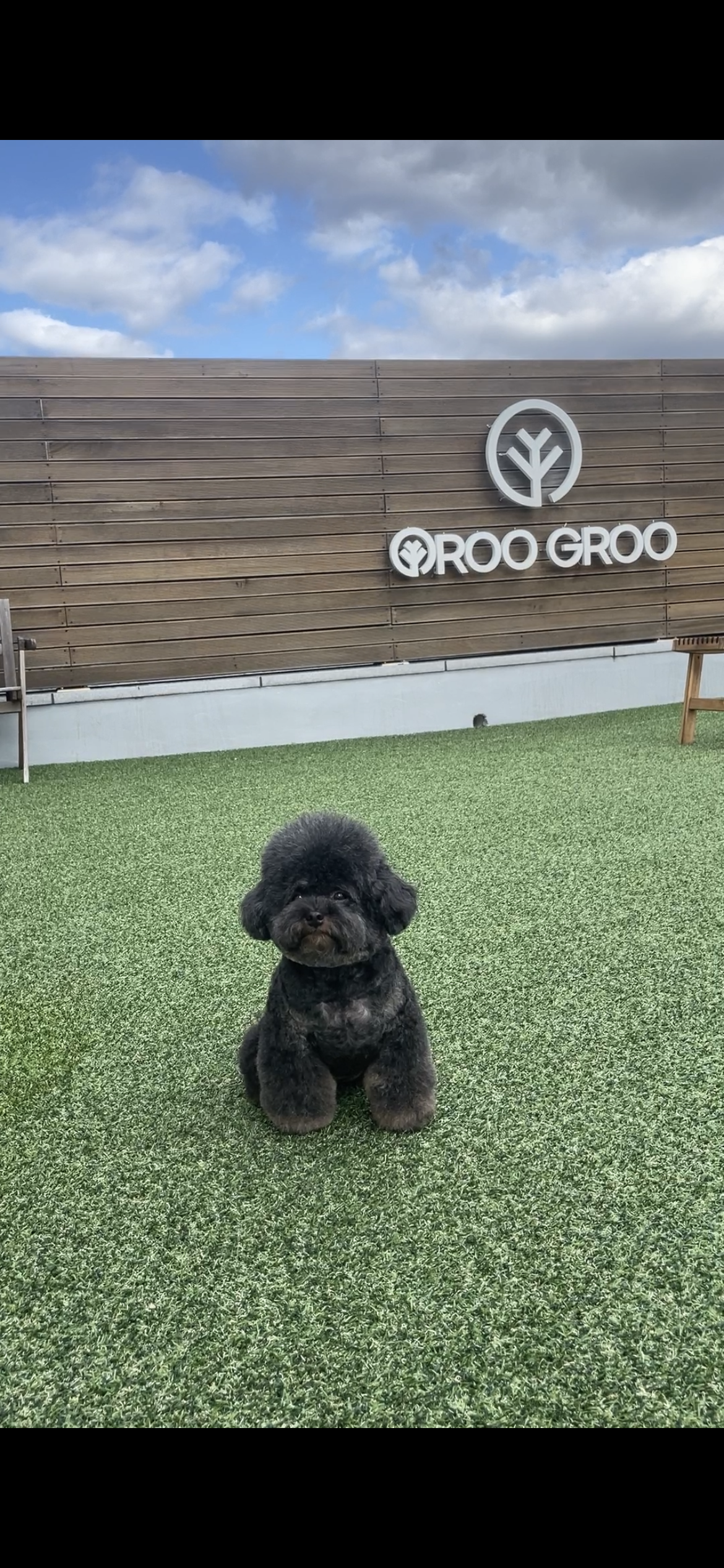 스파그루