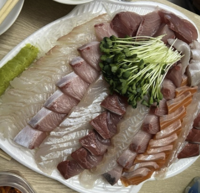 부산갈매기