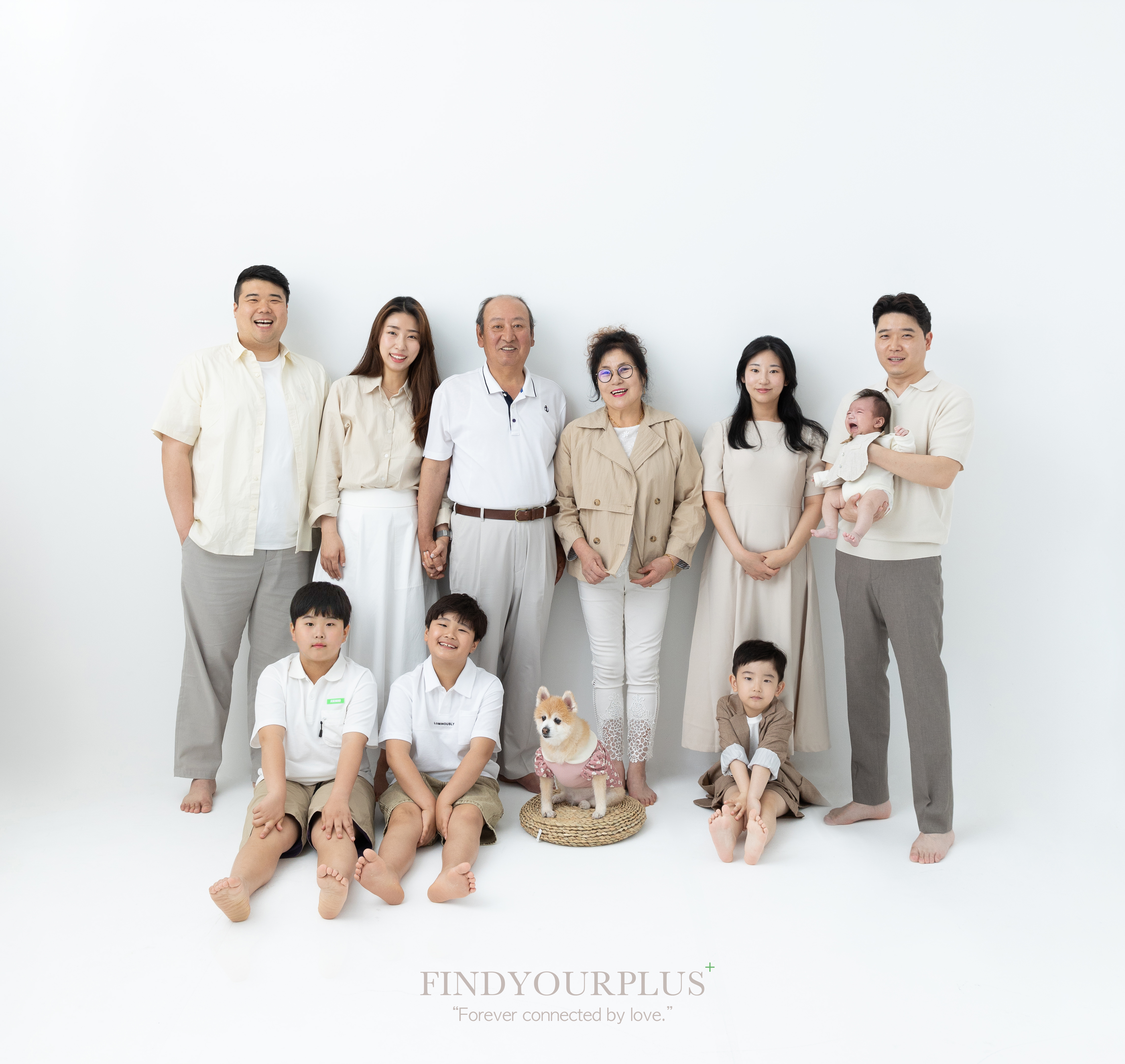 파인드유어플러스
