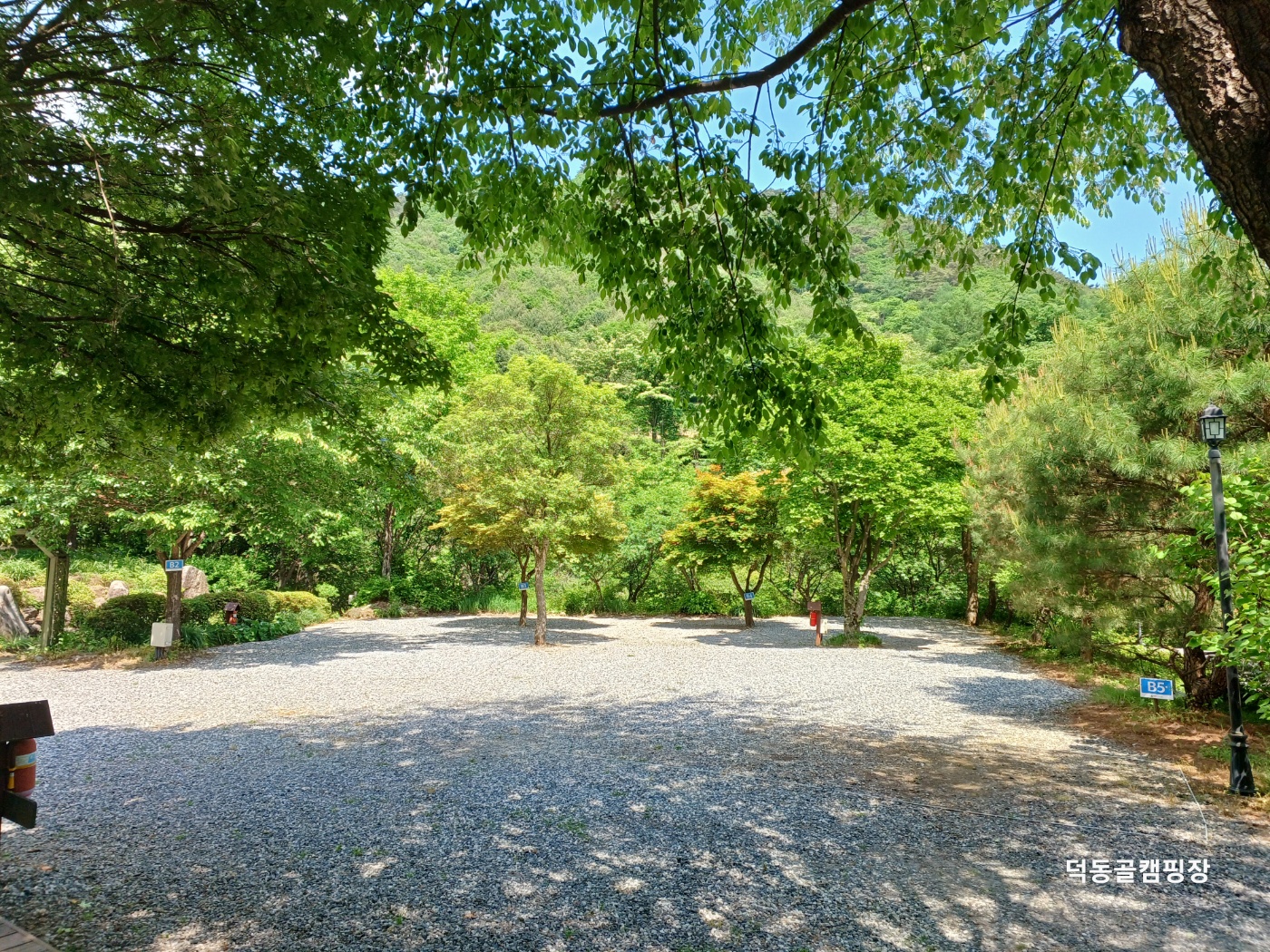 덕동골 오토캠핑장