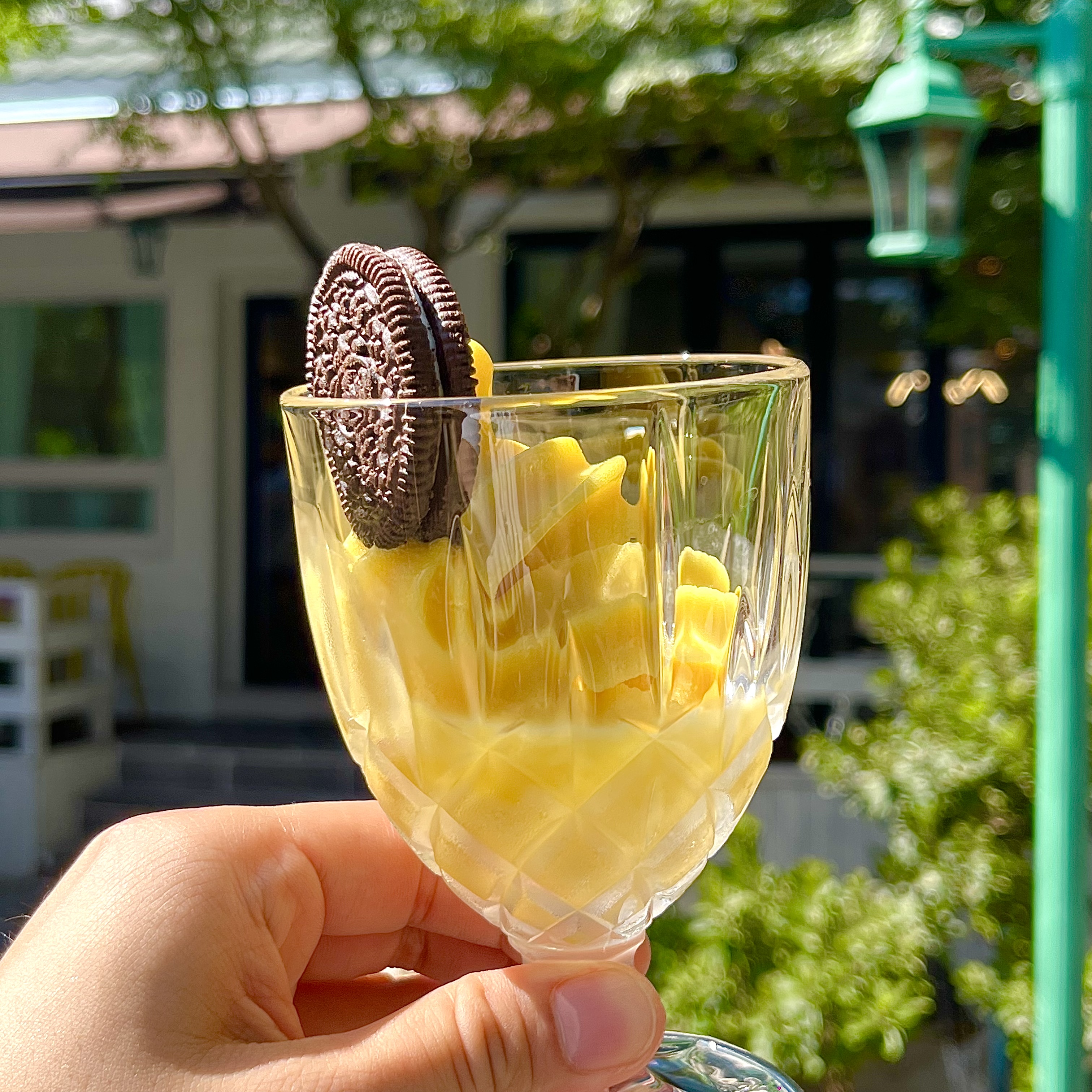 하늘꿈터