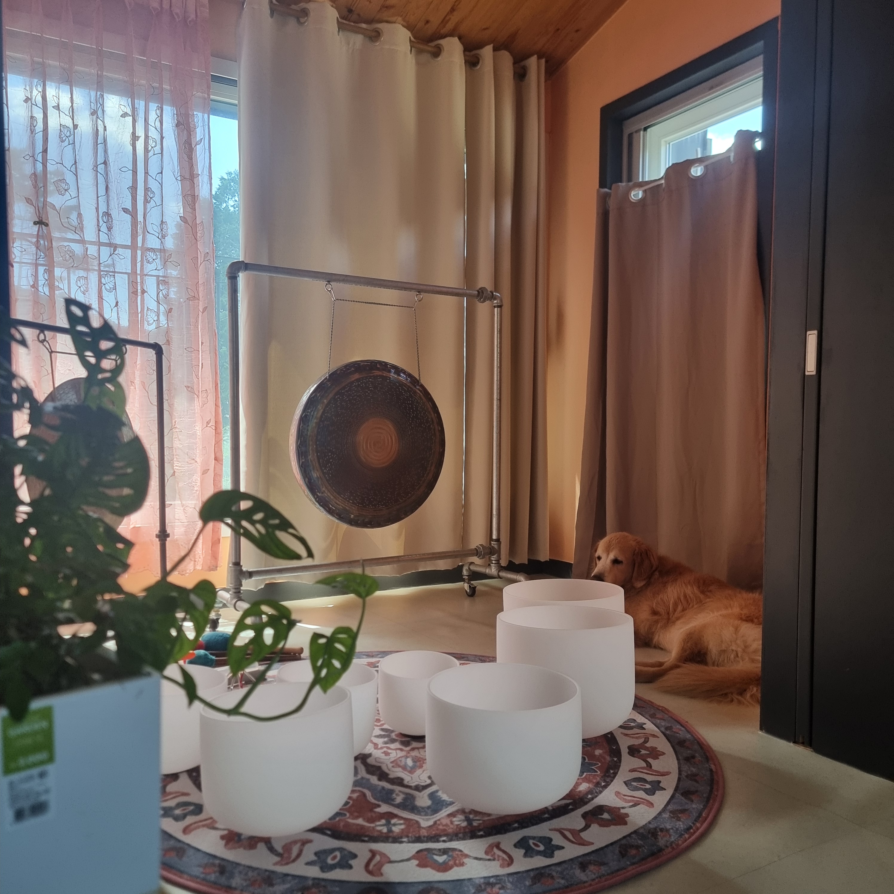 따뜻한마음힐링센터 대표 이미지