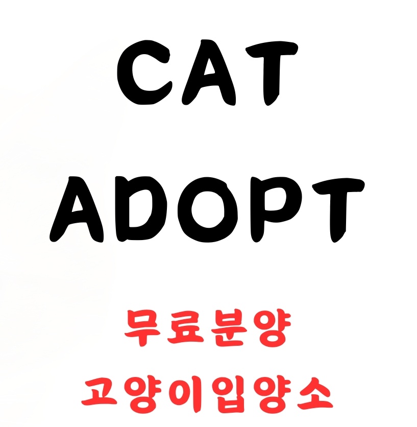 고양이입양소