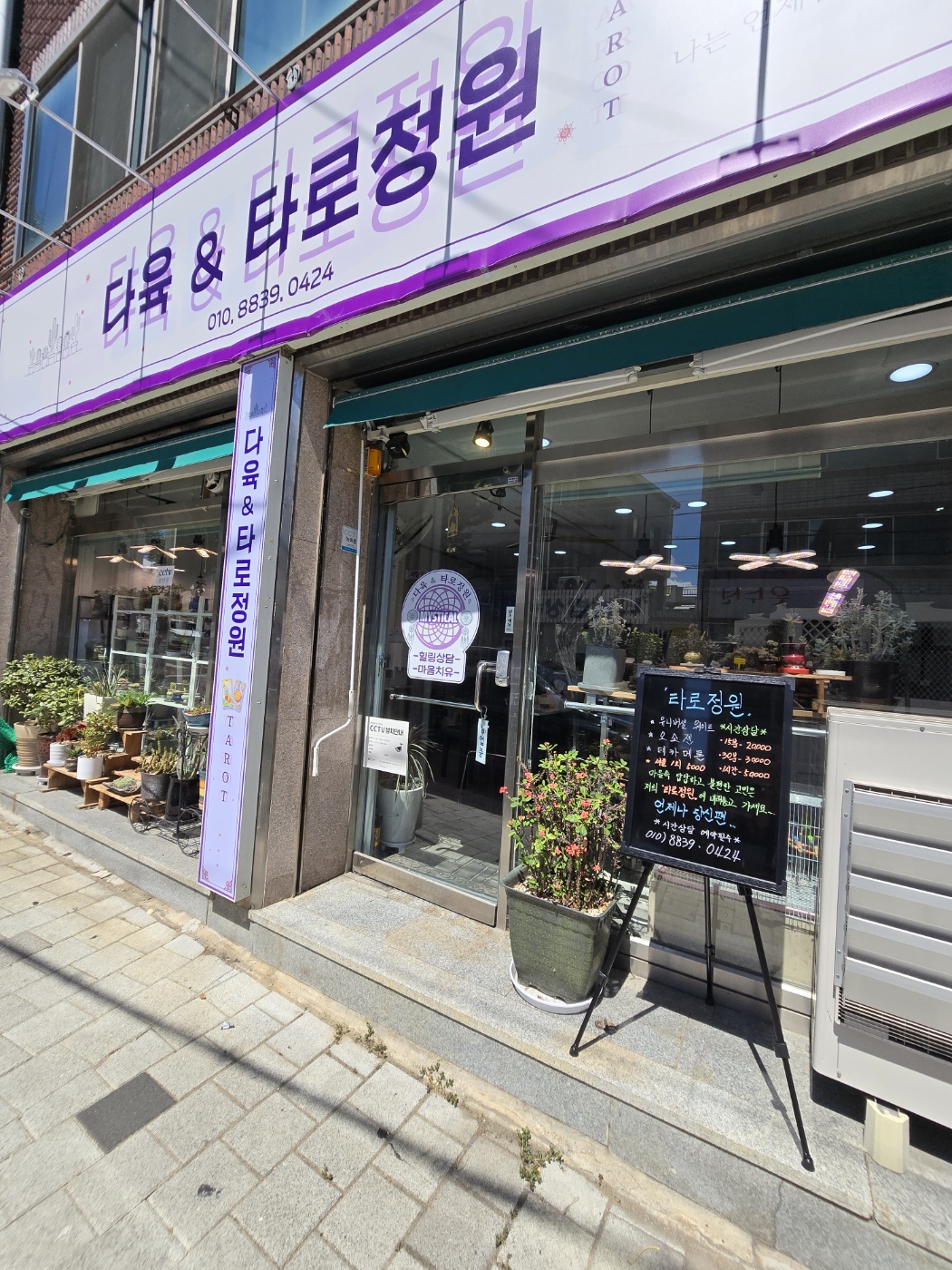 다육&타로정원