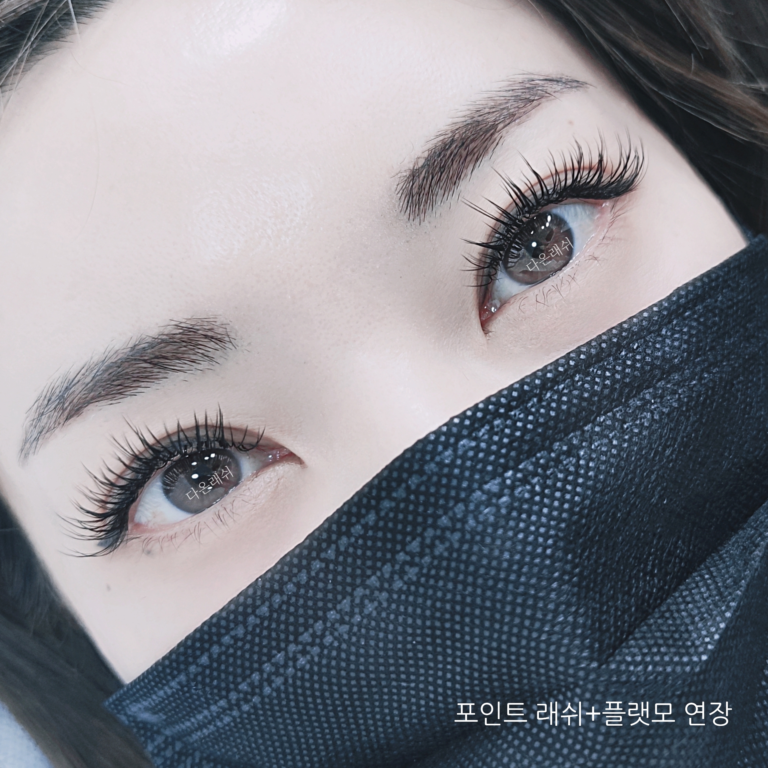 다온래쉬