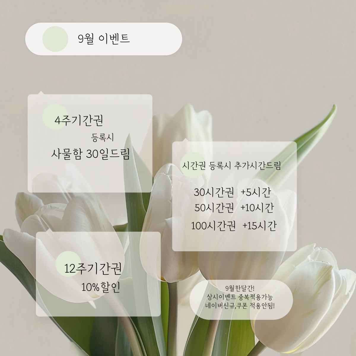 화이트펜슬 스터디카페 영도대교점