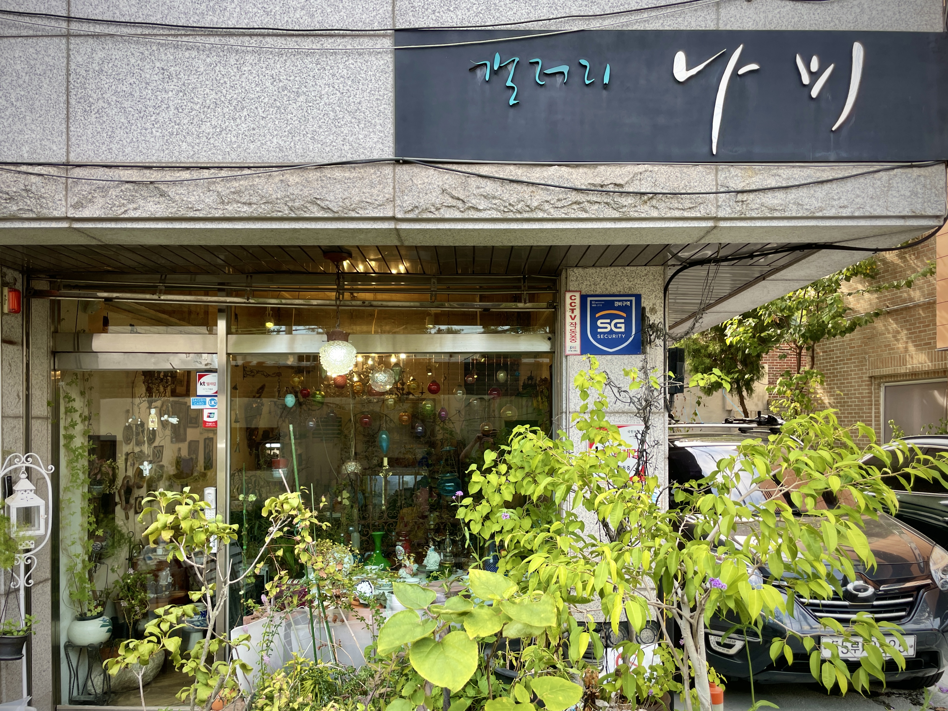 갤러리 나비