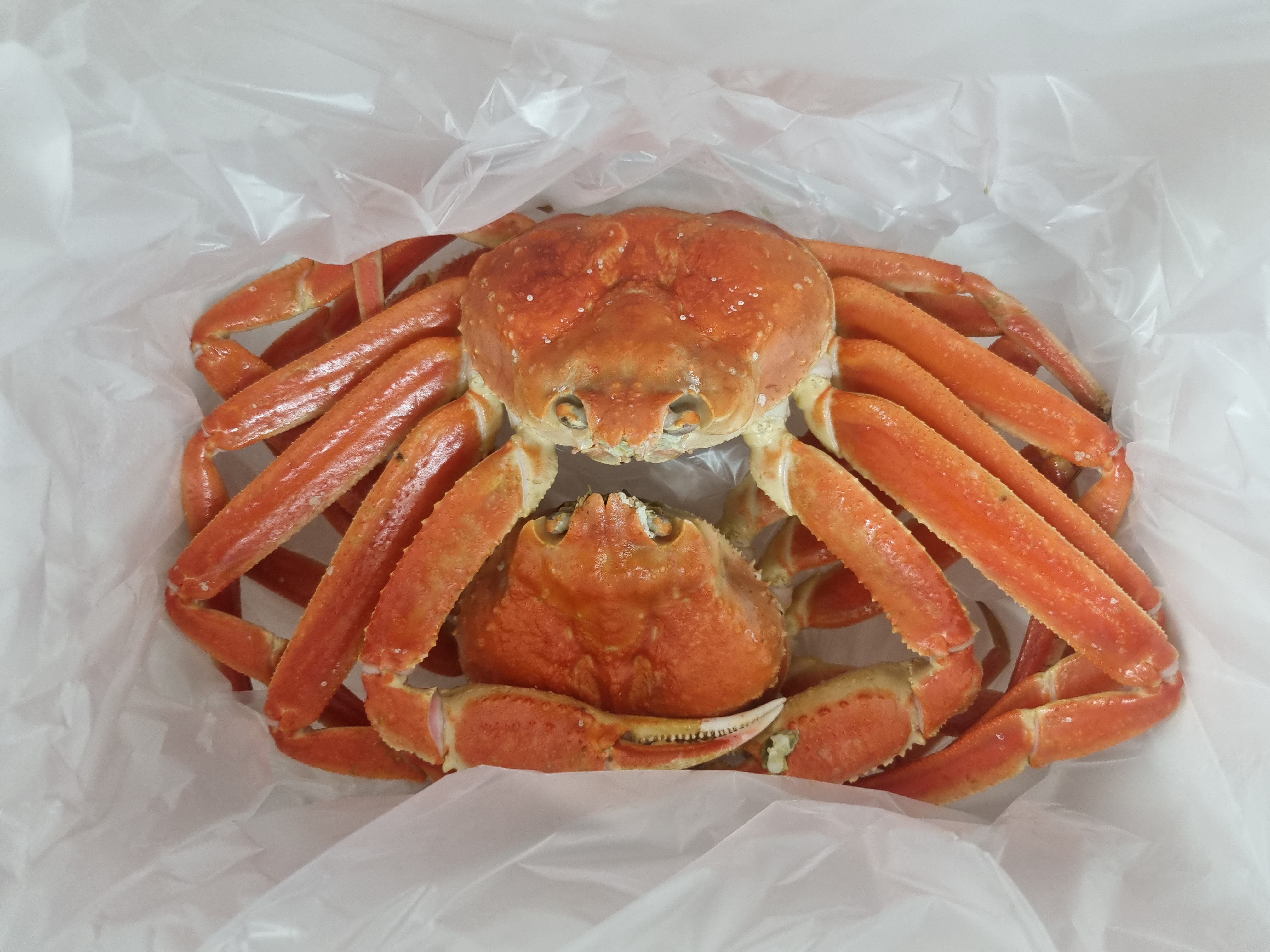 중앙수산