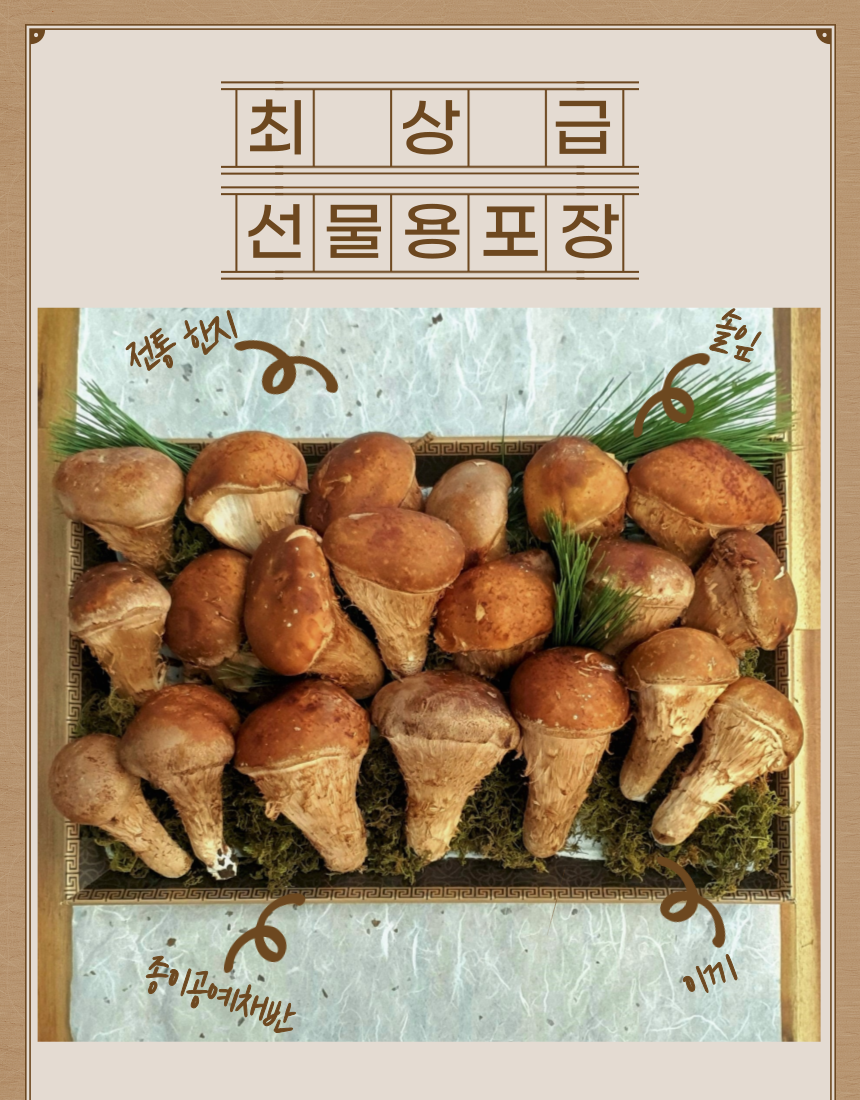 소이팜