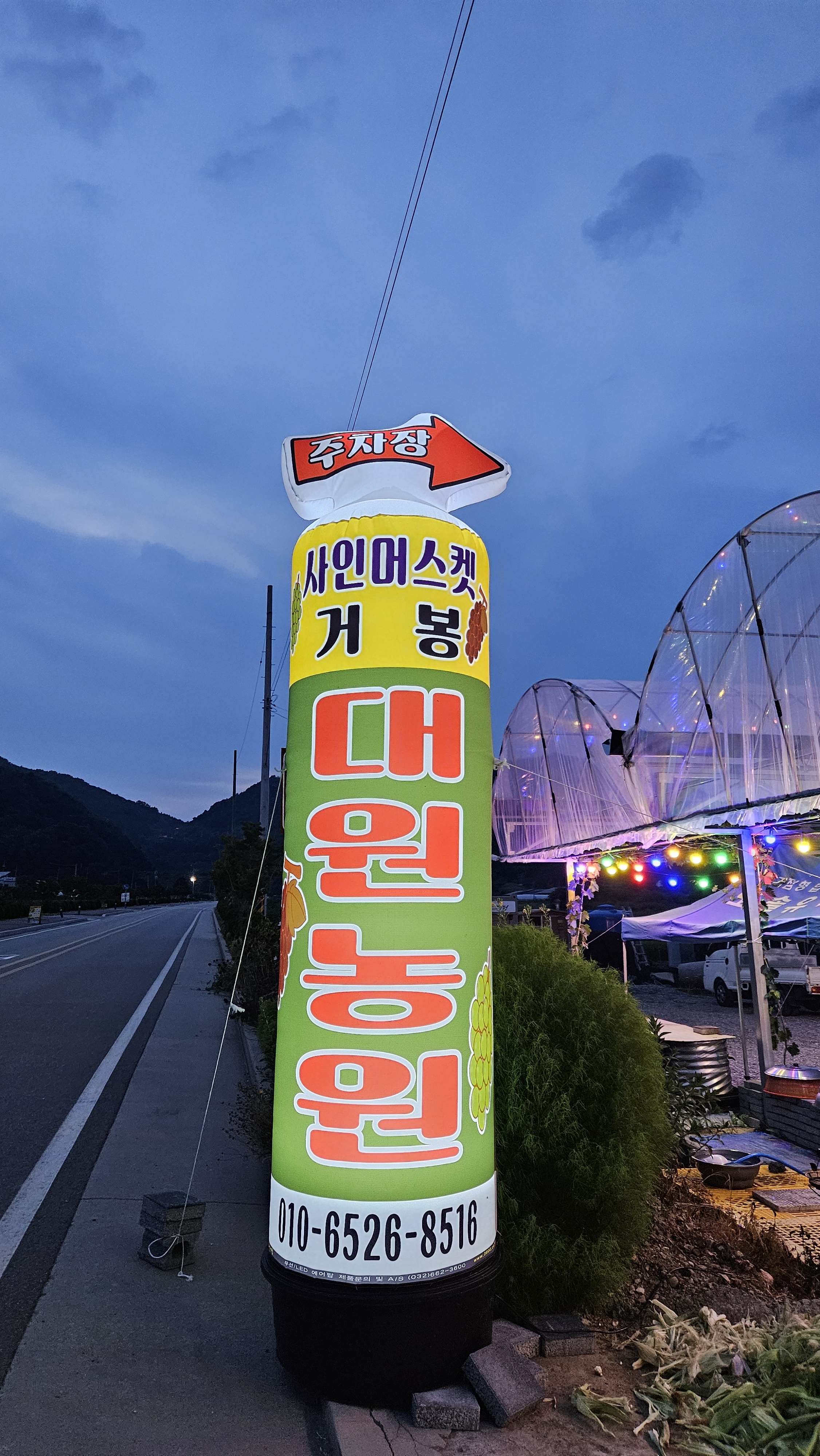대원농원
