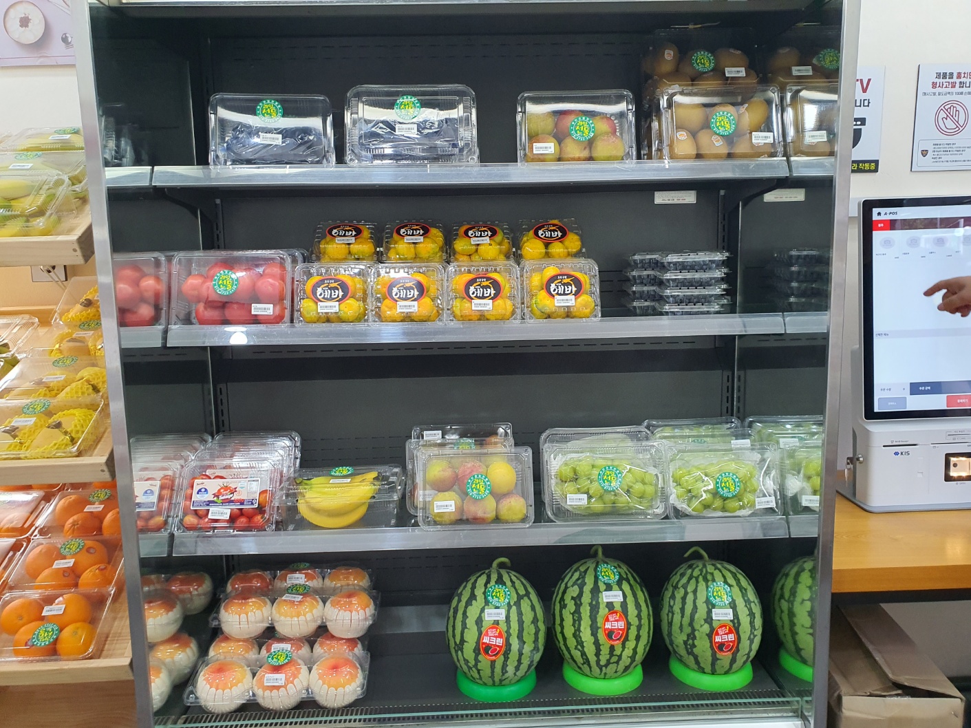 메고지고 & 청주선물