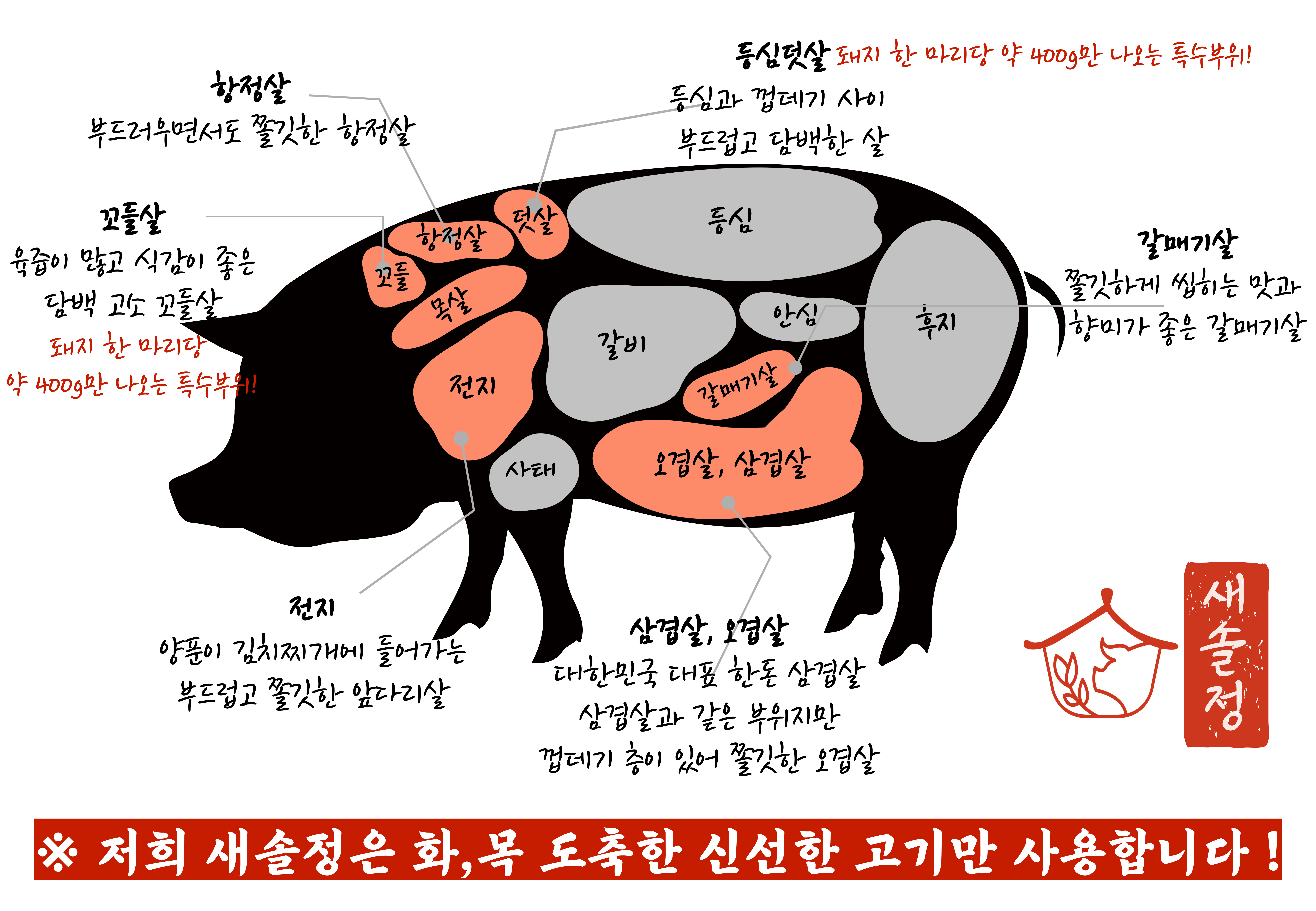 새솔정