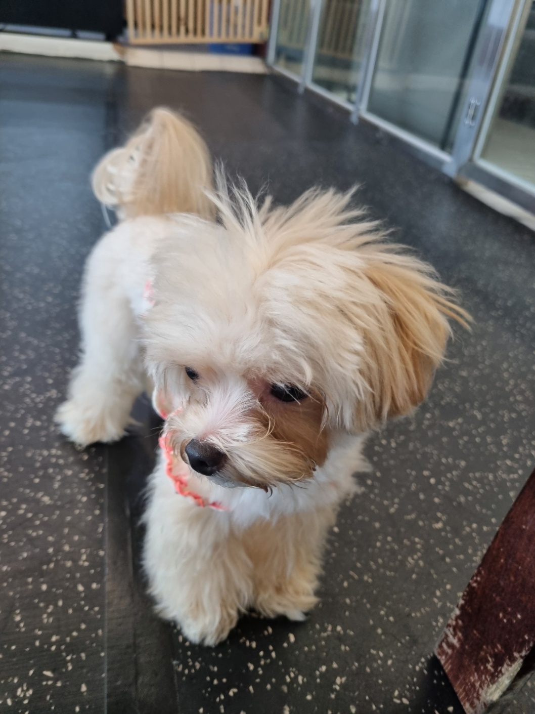 고고독 대표 이미지