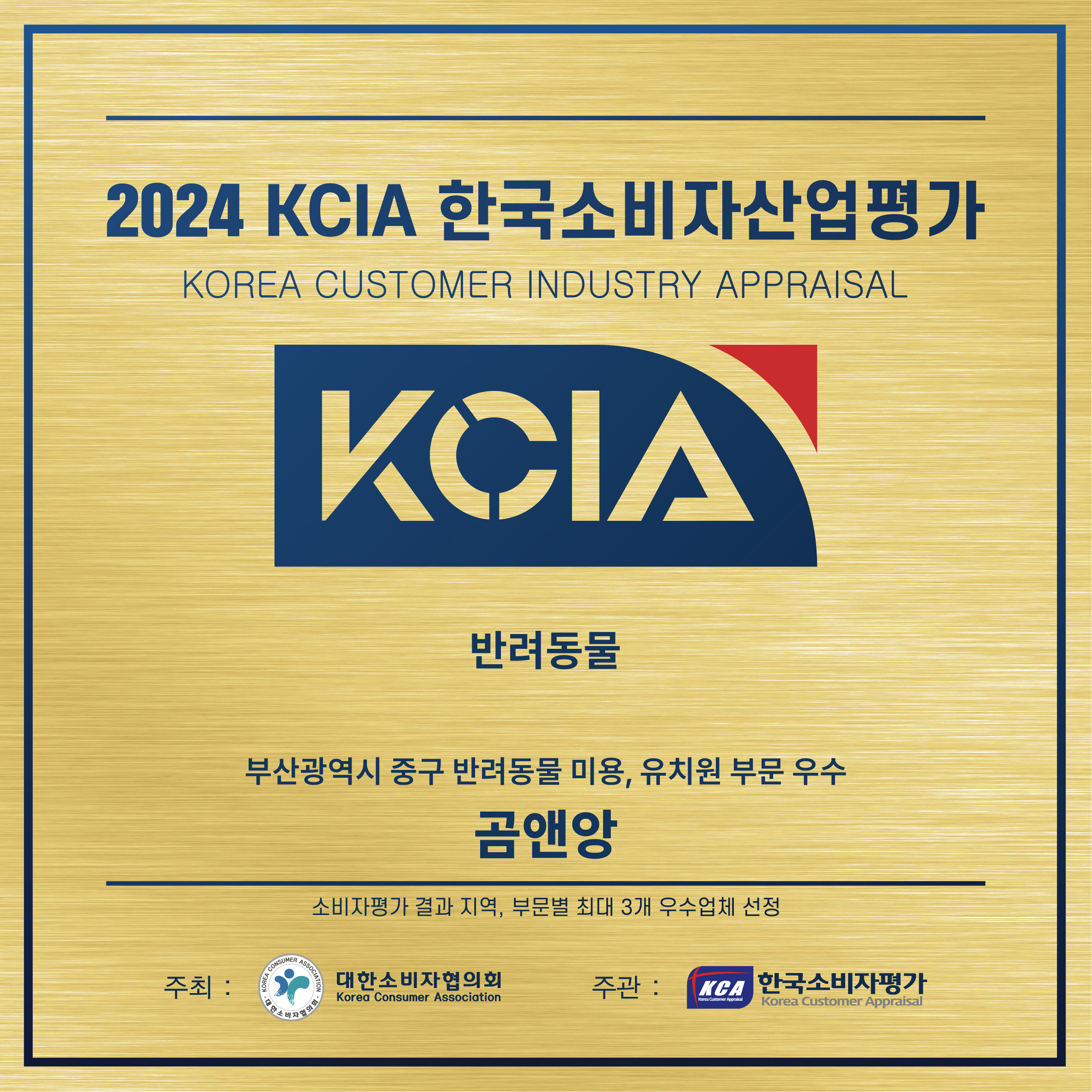 곰앤앙 반려견 유치원