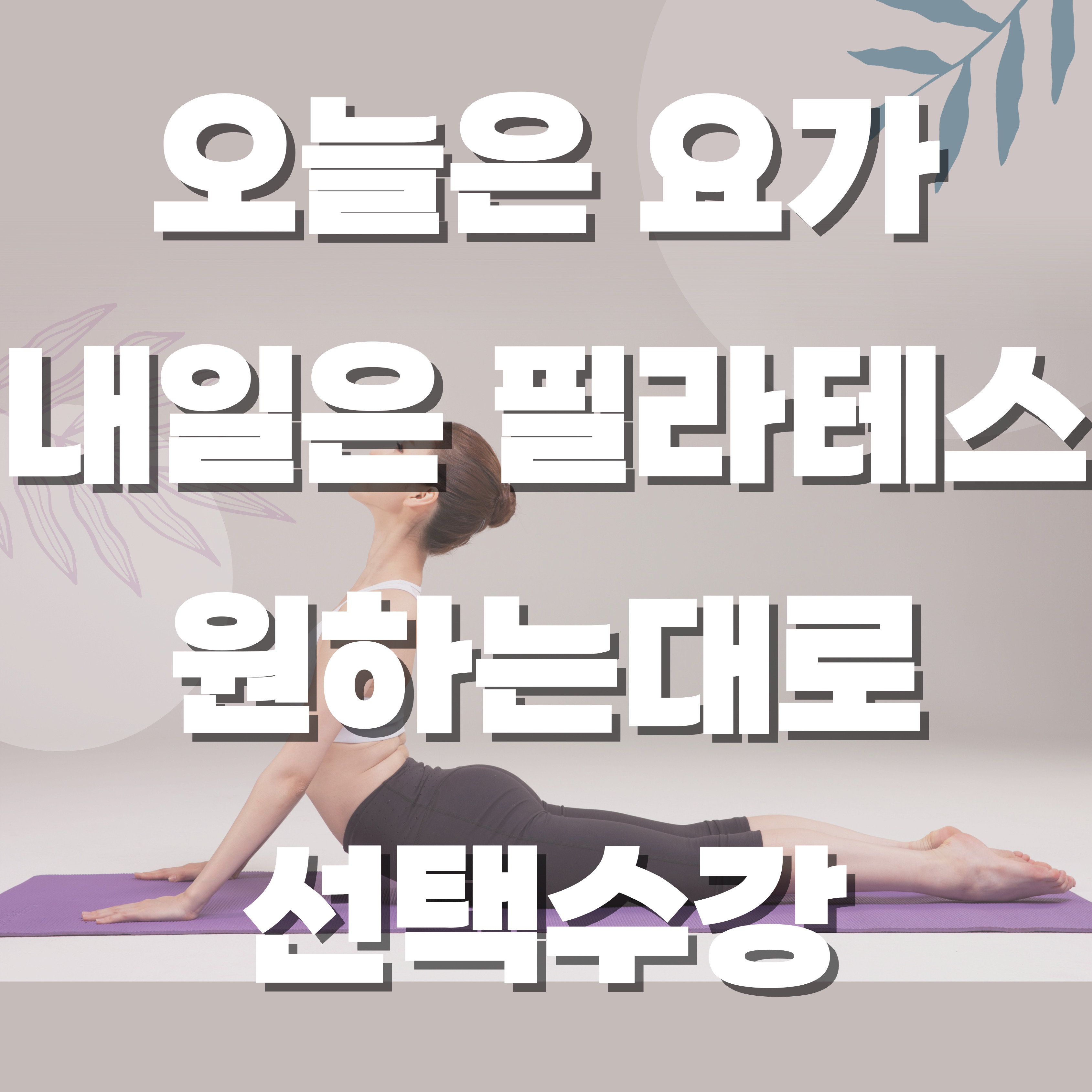 아리아요가 등촌점