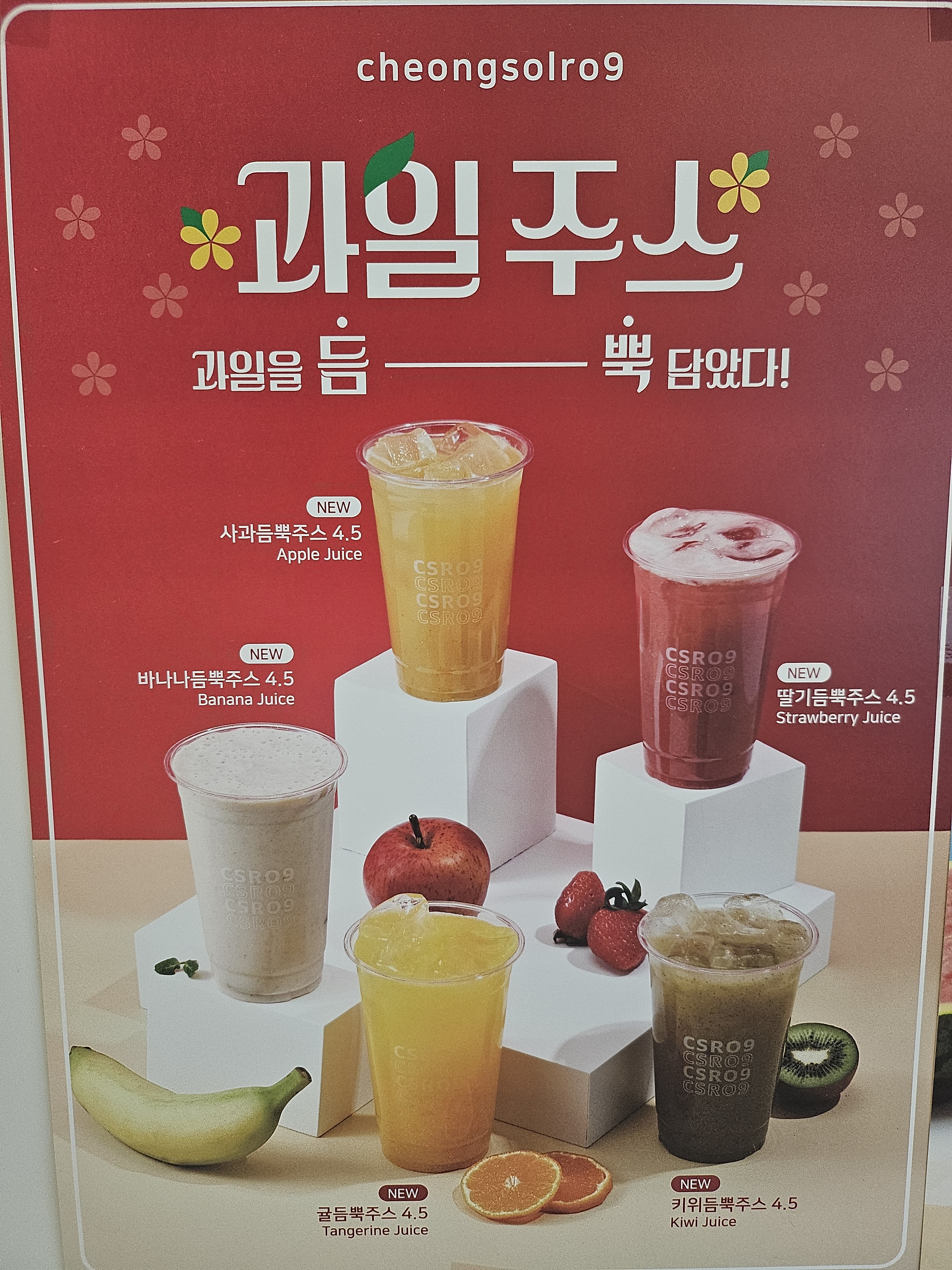카페청솔로9 포항양덕점