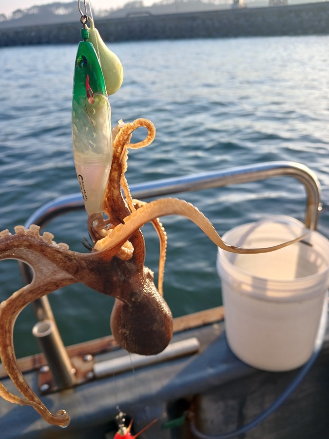 해돋이낚시