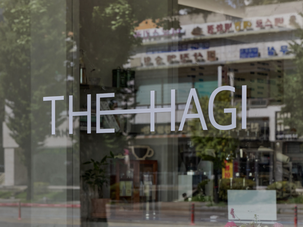 THE HAGI 더하기