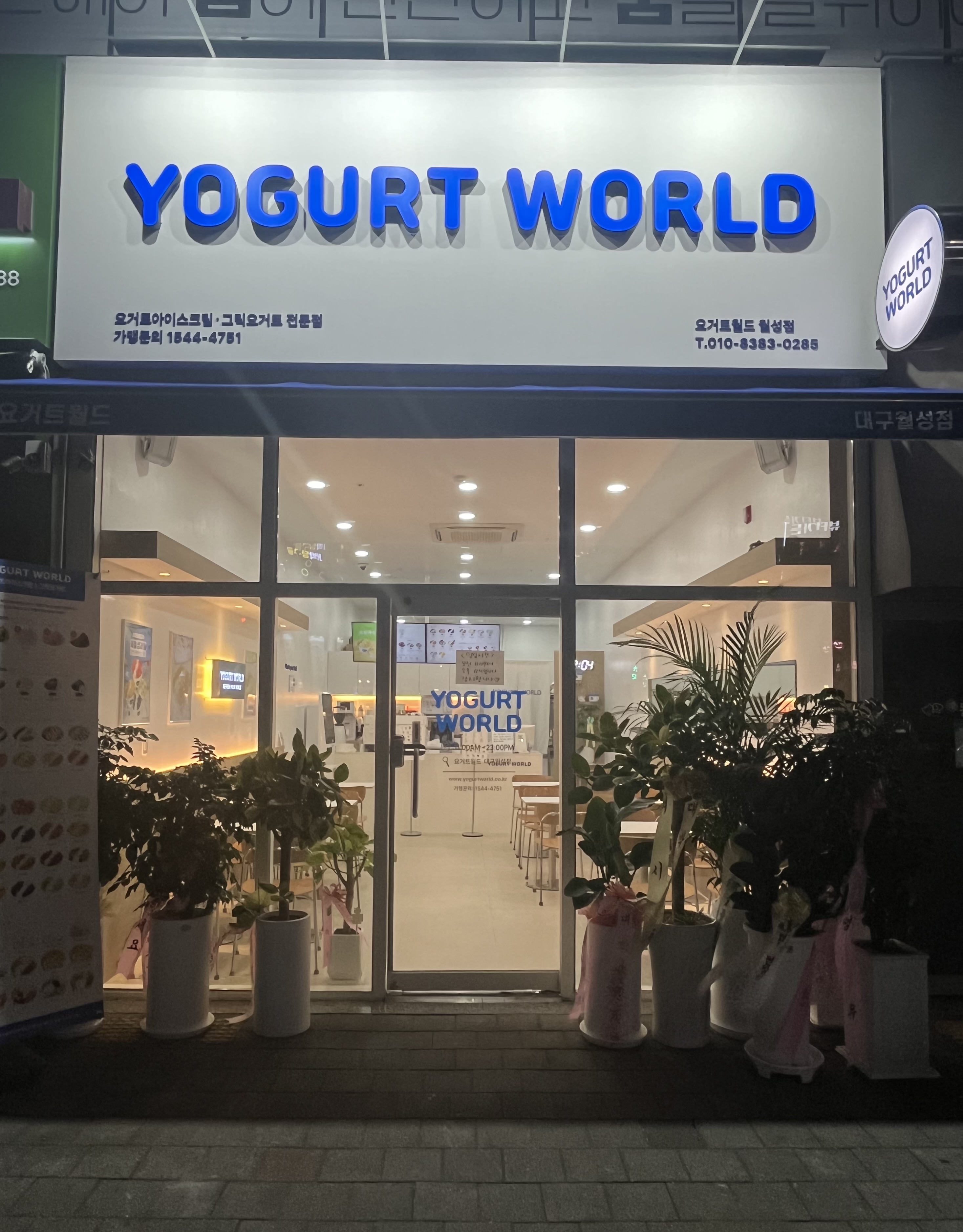 요거트월드 대구월성점