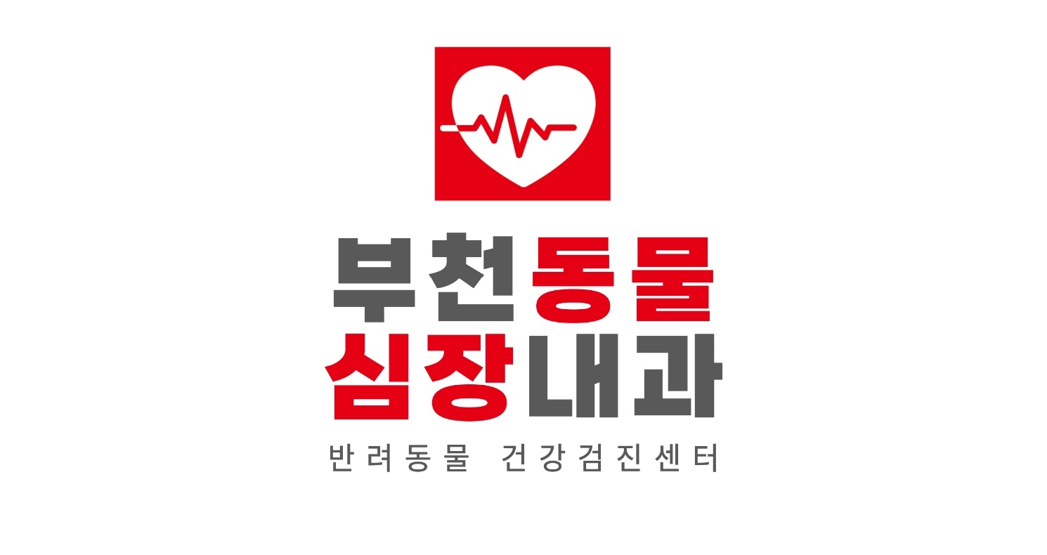 부천동물심장내과 건강검진센터