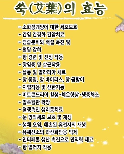 명품오행 웰빙 쑥 테라피