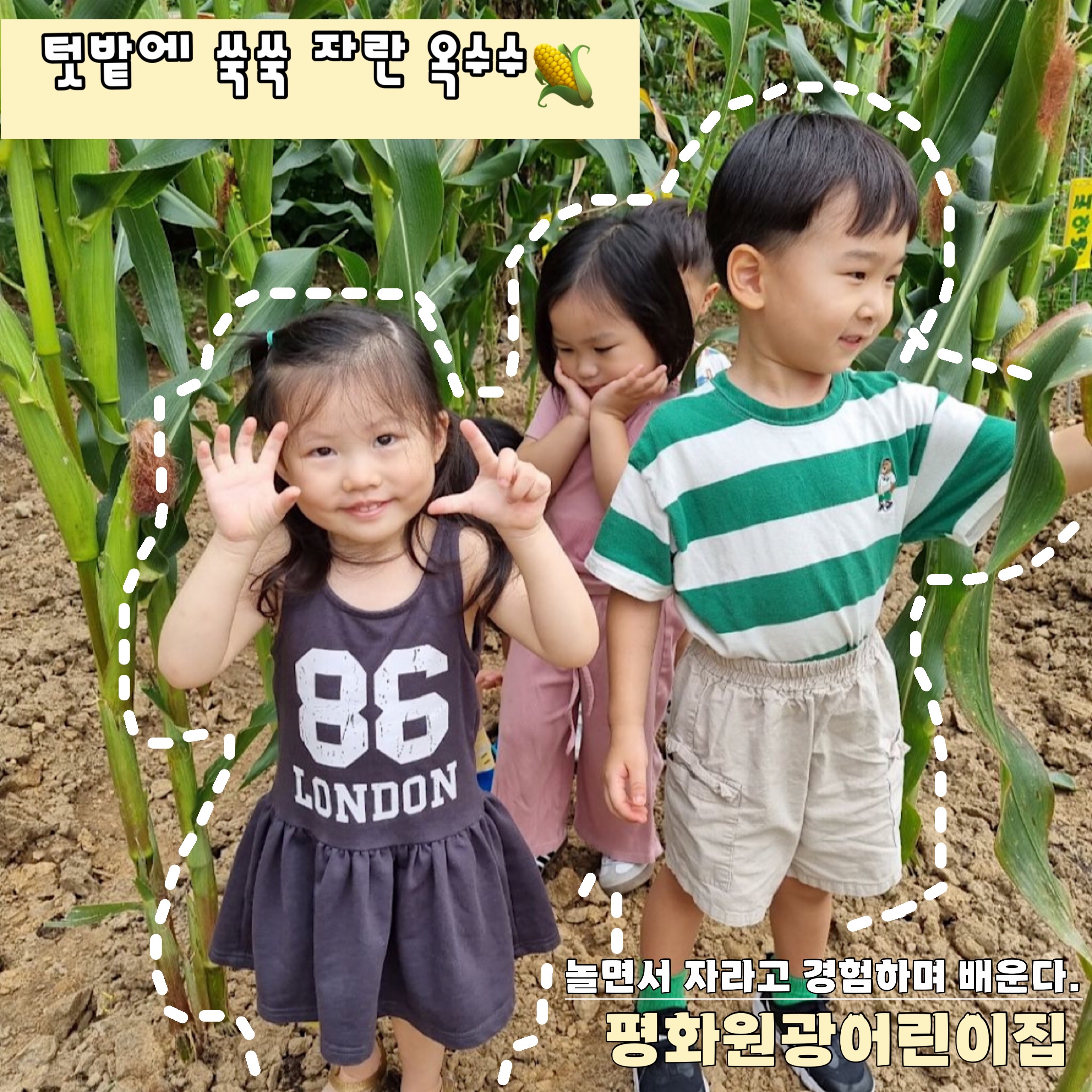 평화원광어린이집