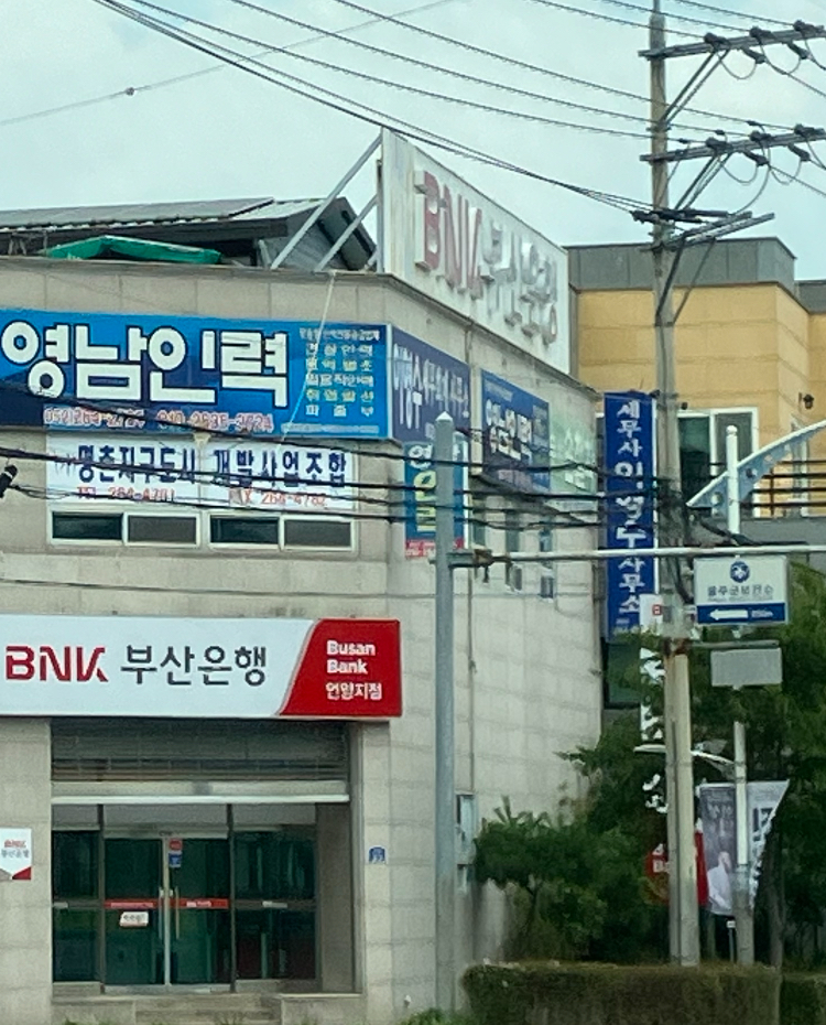 세무사 이영수사무소 대표 이미지