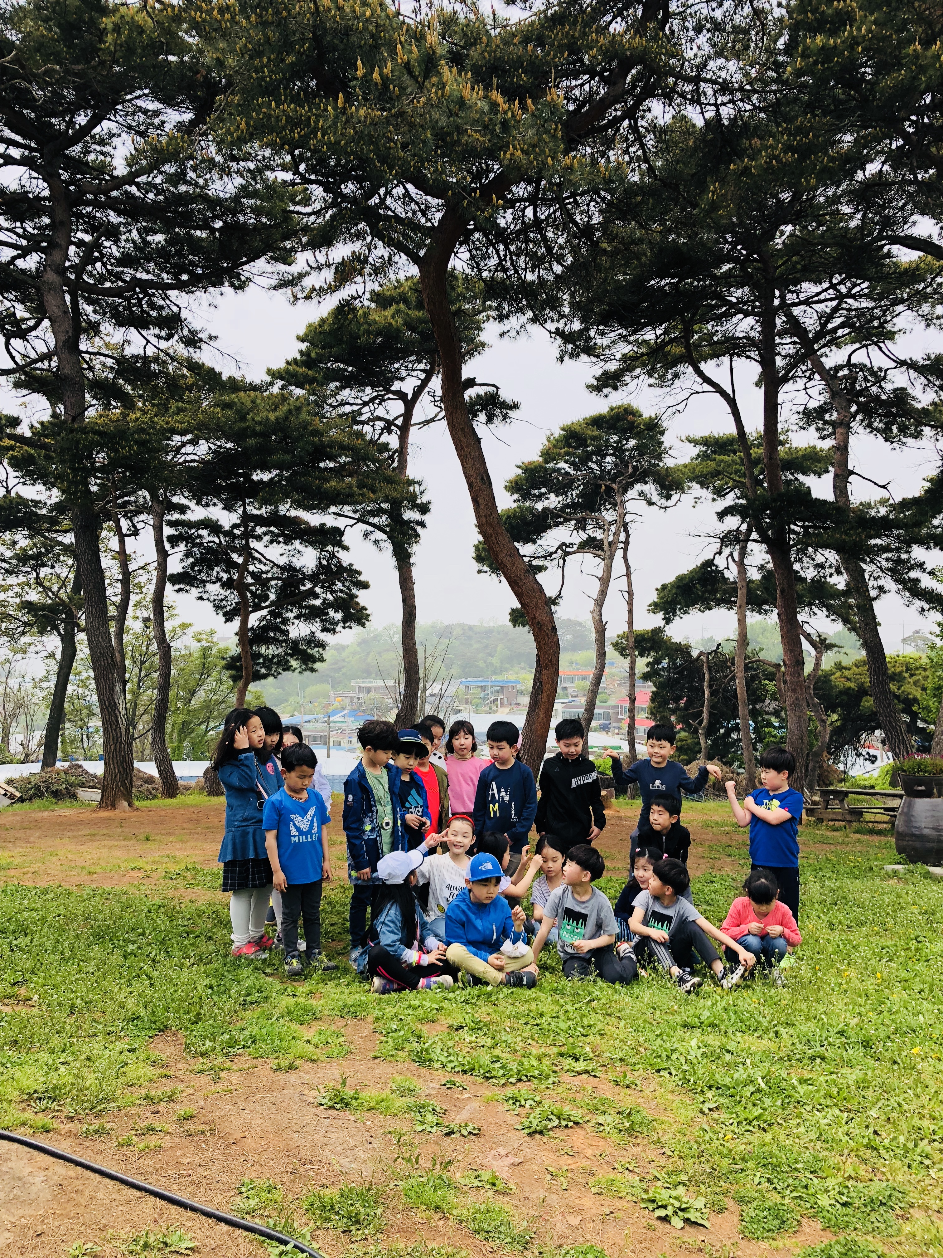 송산포도 원혜농원