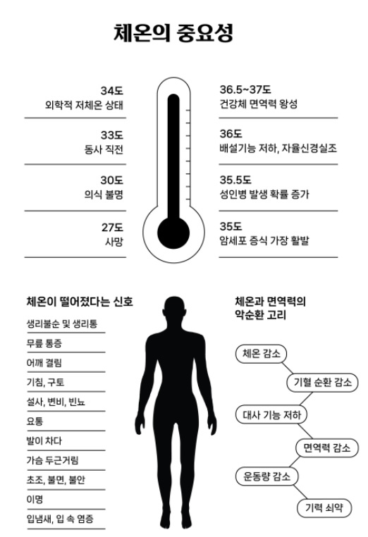 명품오행 웰빙 쑥 테라피