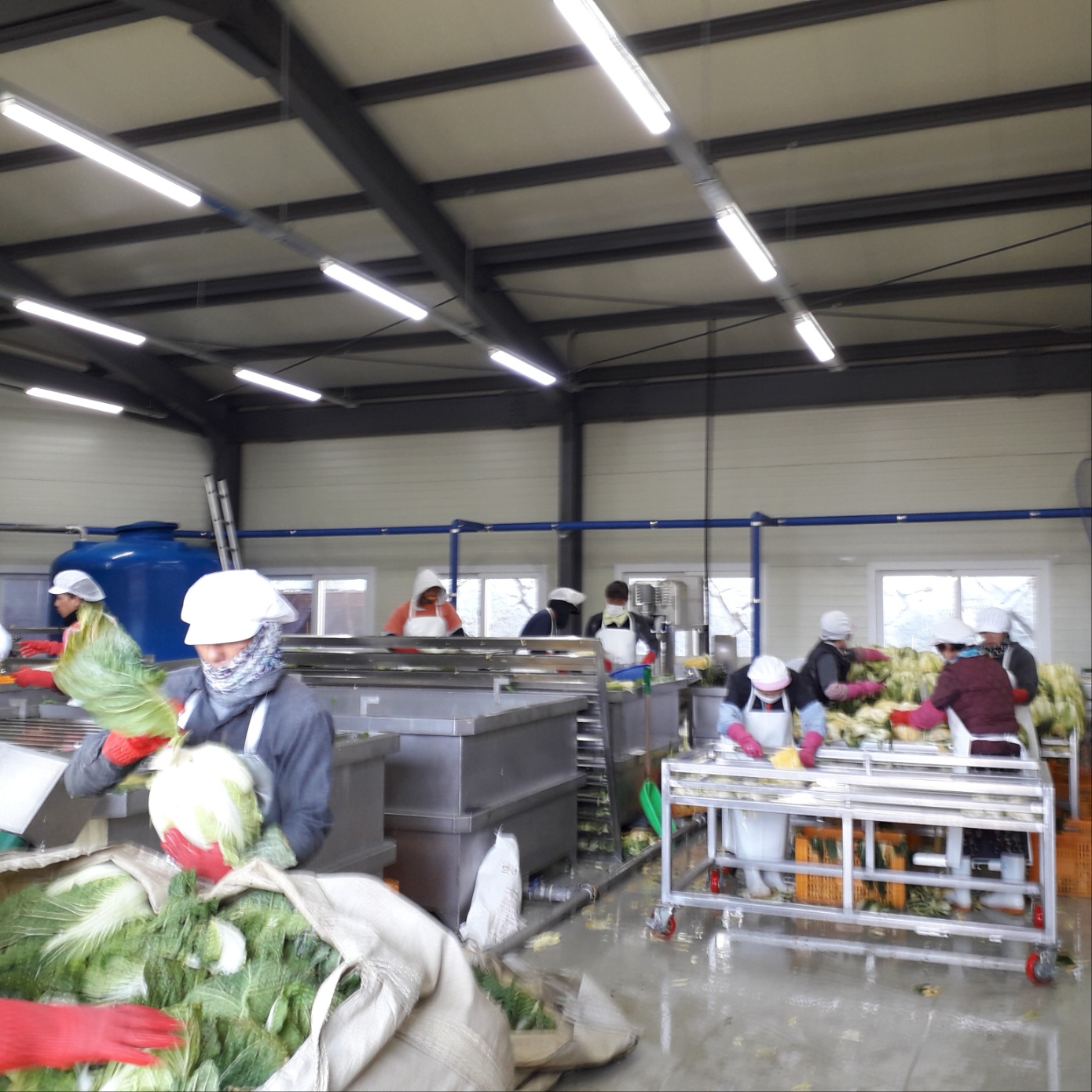 단지봉농어촌체험휴양마을