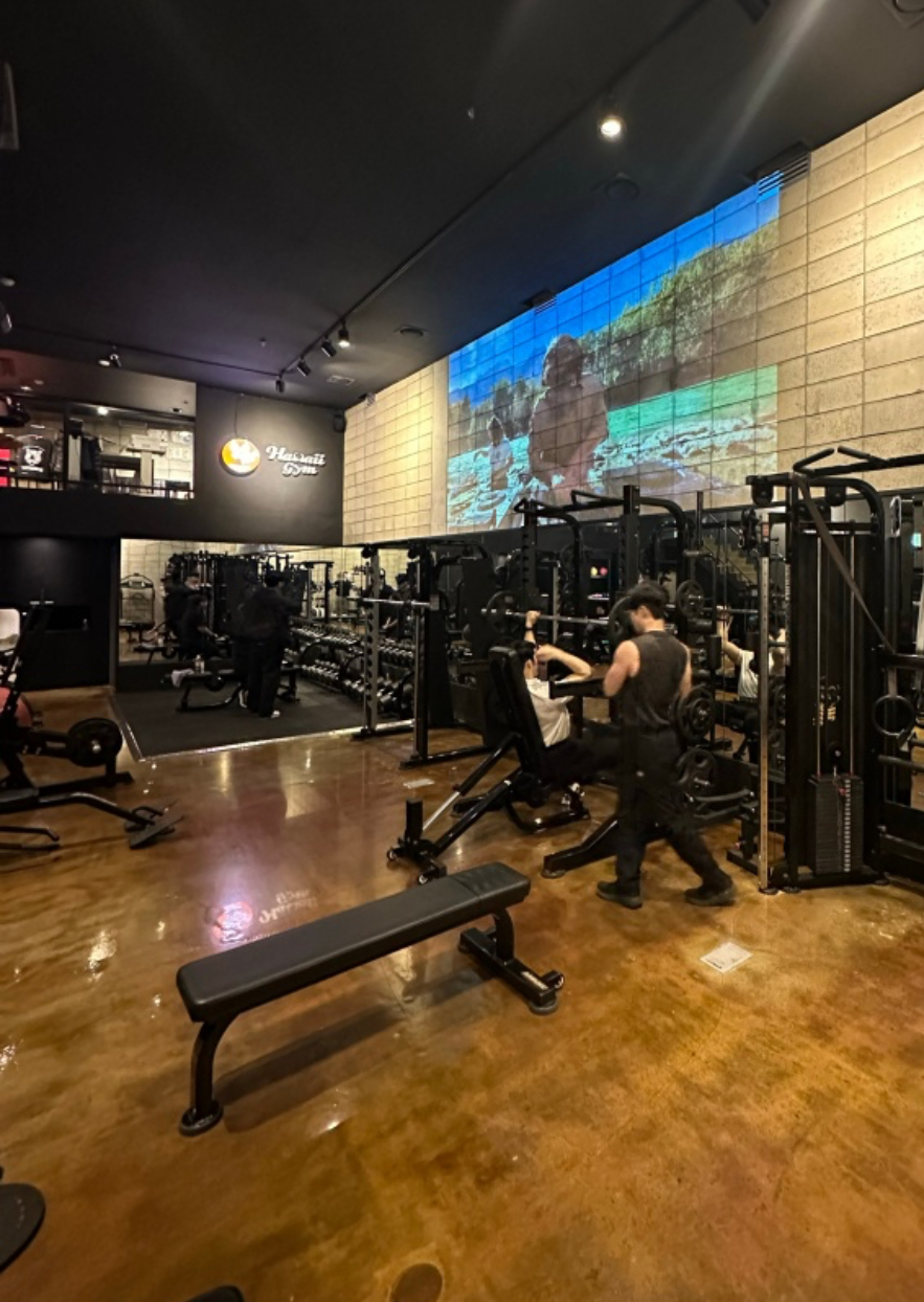 하와이짐 대표 이미지