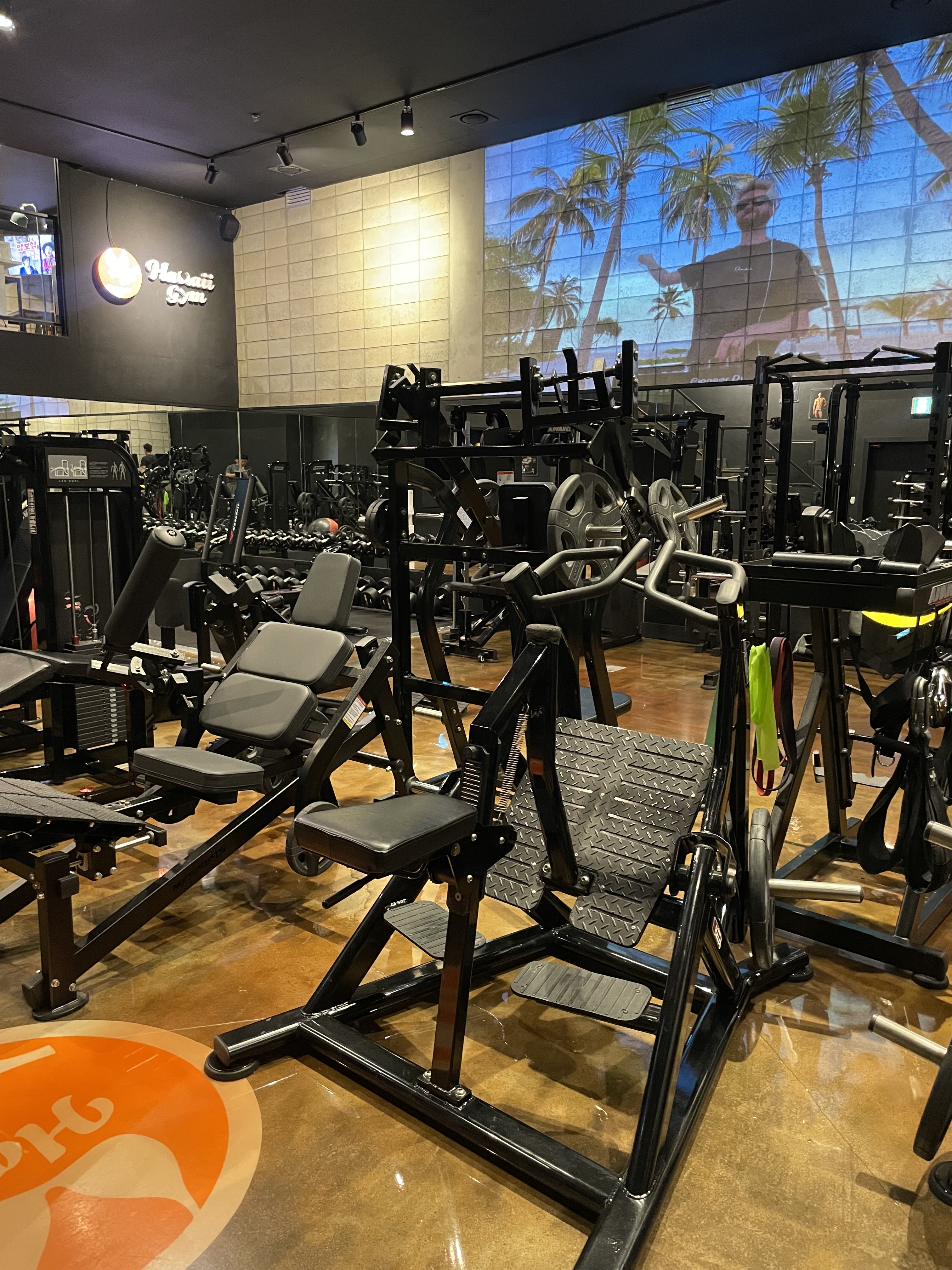 하와이짐 강남 대표 이미지