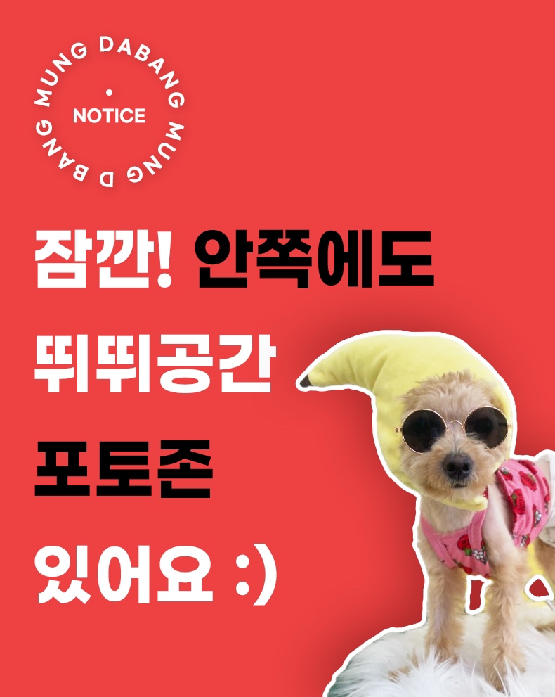 멍다방 반려동물 동반 애견카페