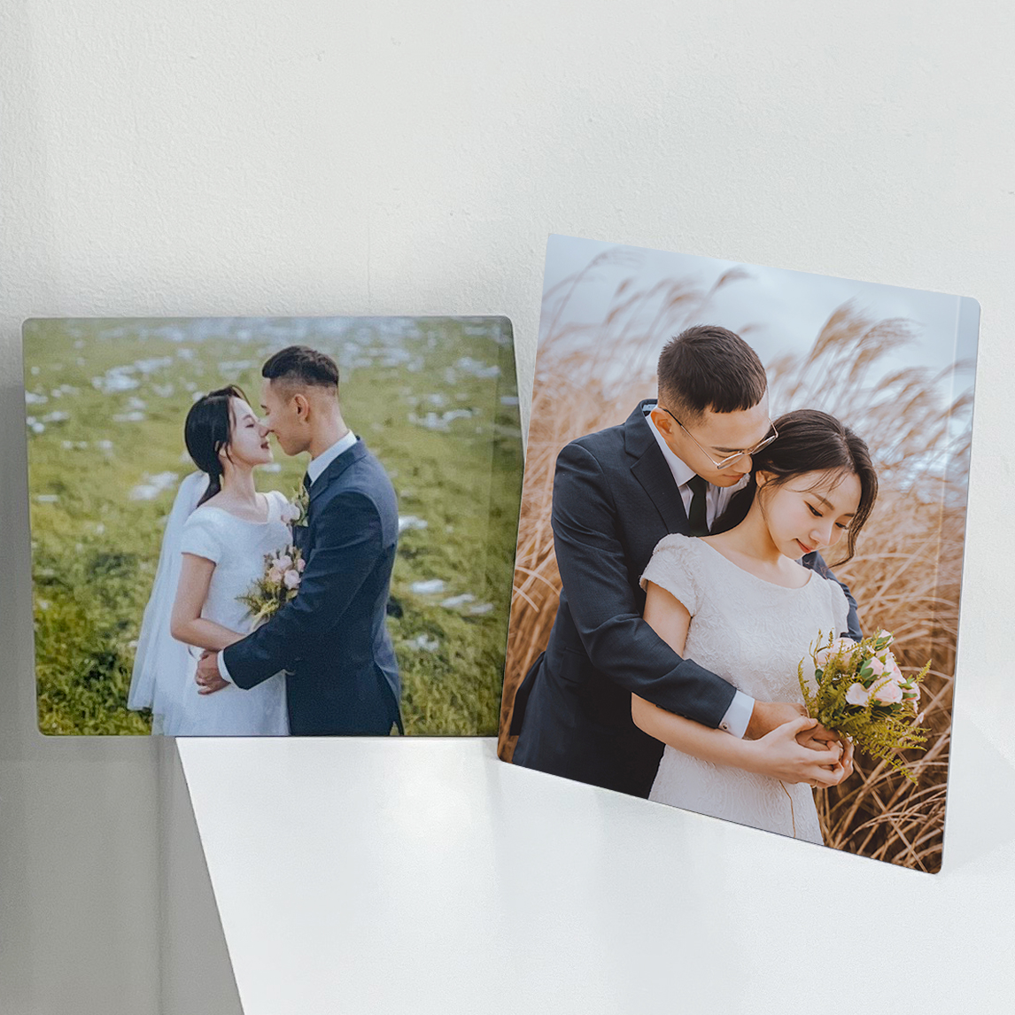 소나무당 대표 이미지