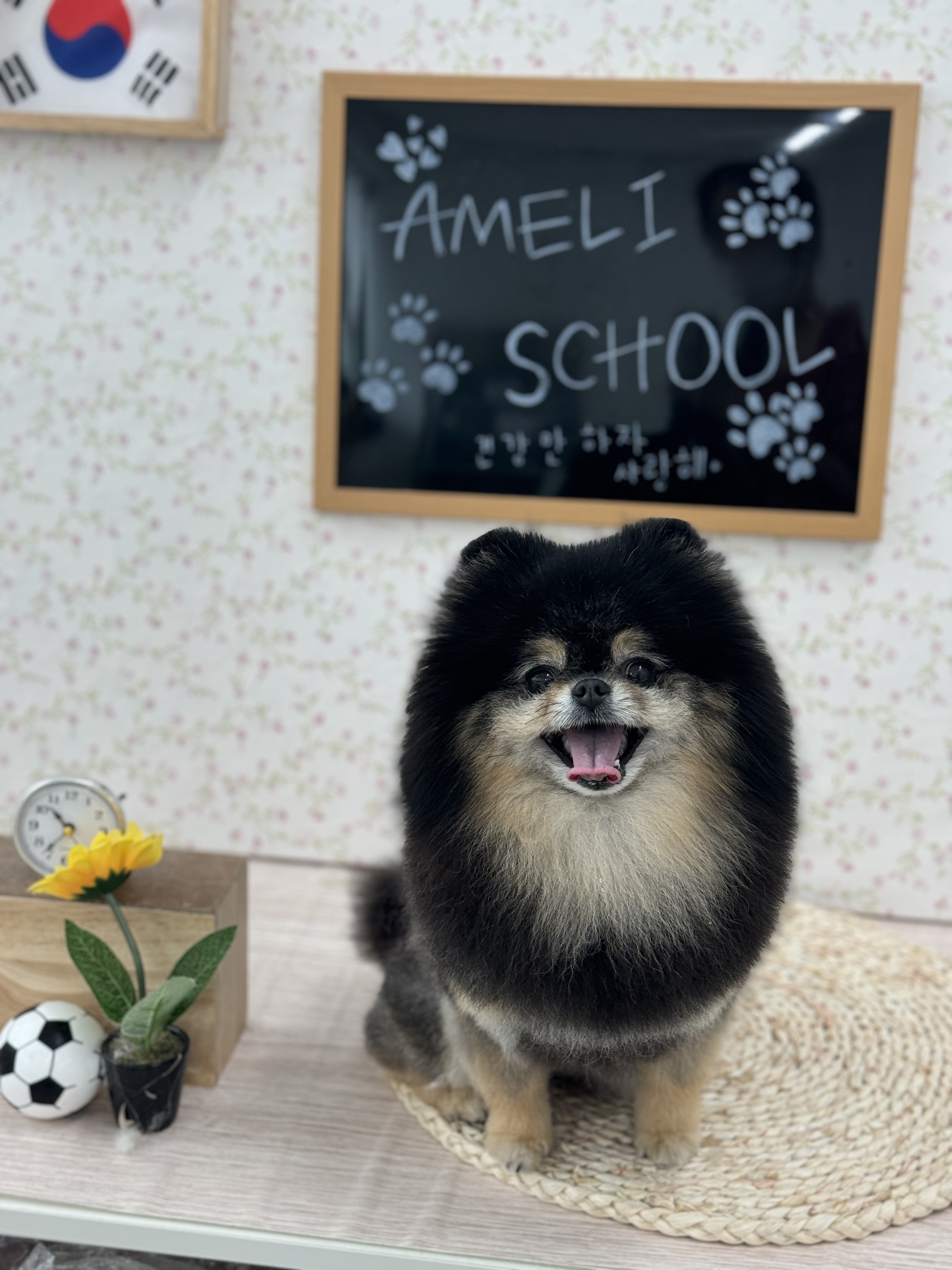 아멜리몽 대표 이미지
