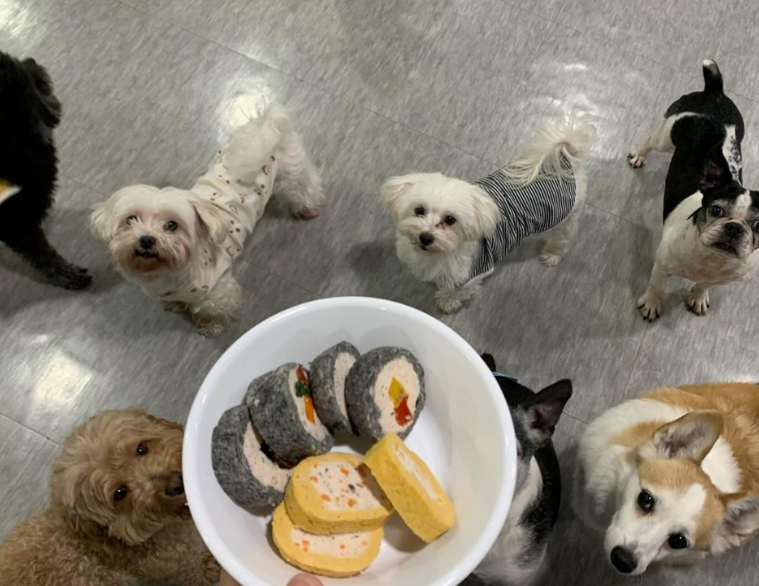 구리시 반려돌봄센터 대표 이미지