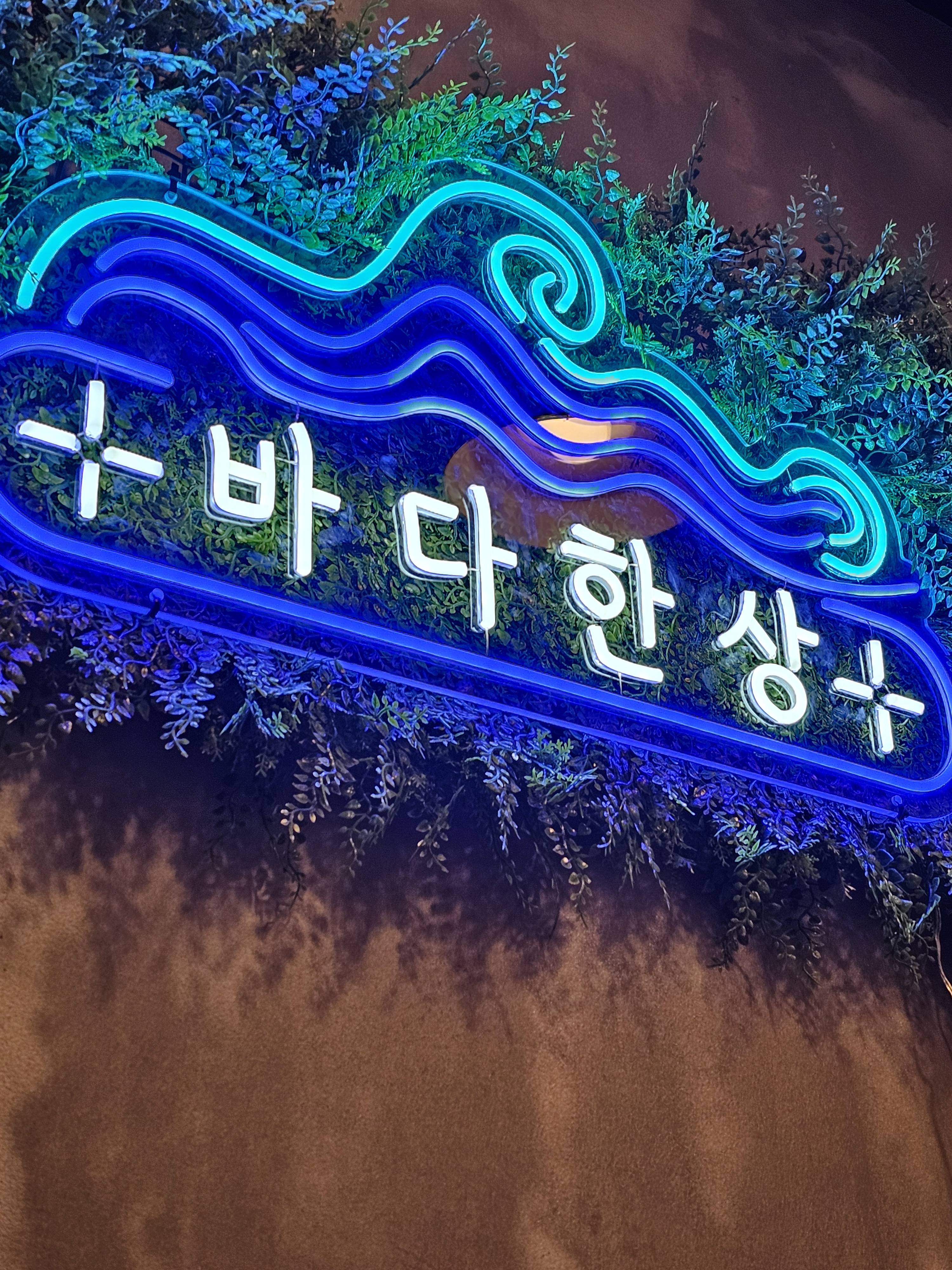 바다한상