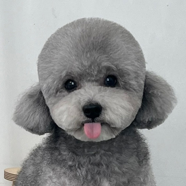 아멜리몽 대표 이미지