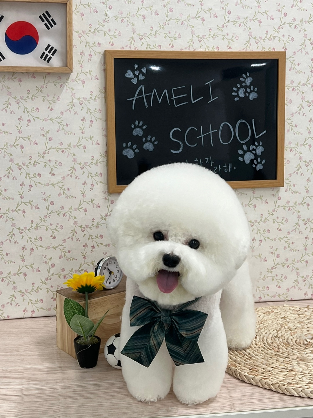 아멜리몽 대표 이미지