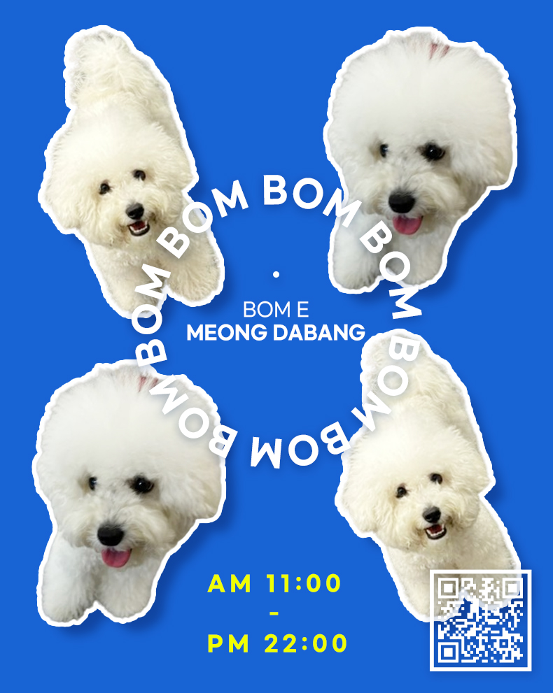 펫다방 2
