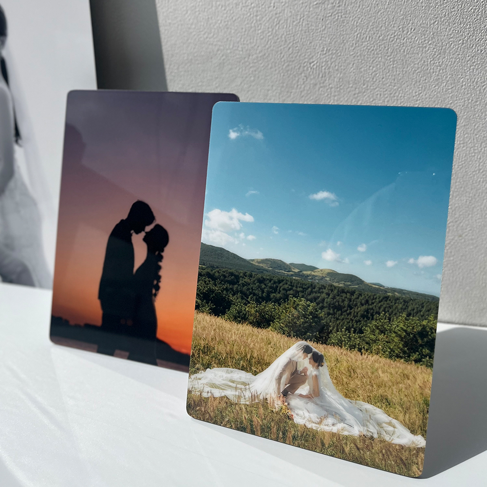 소나무당 대표 이미지