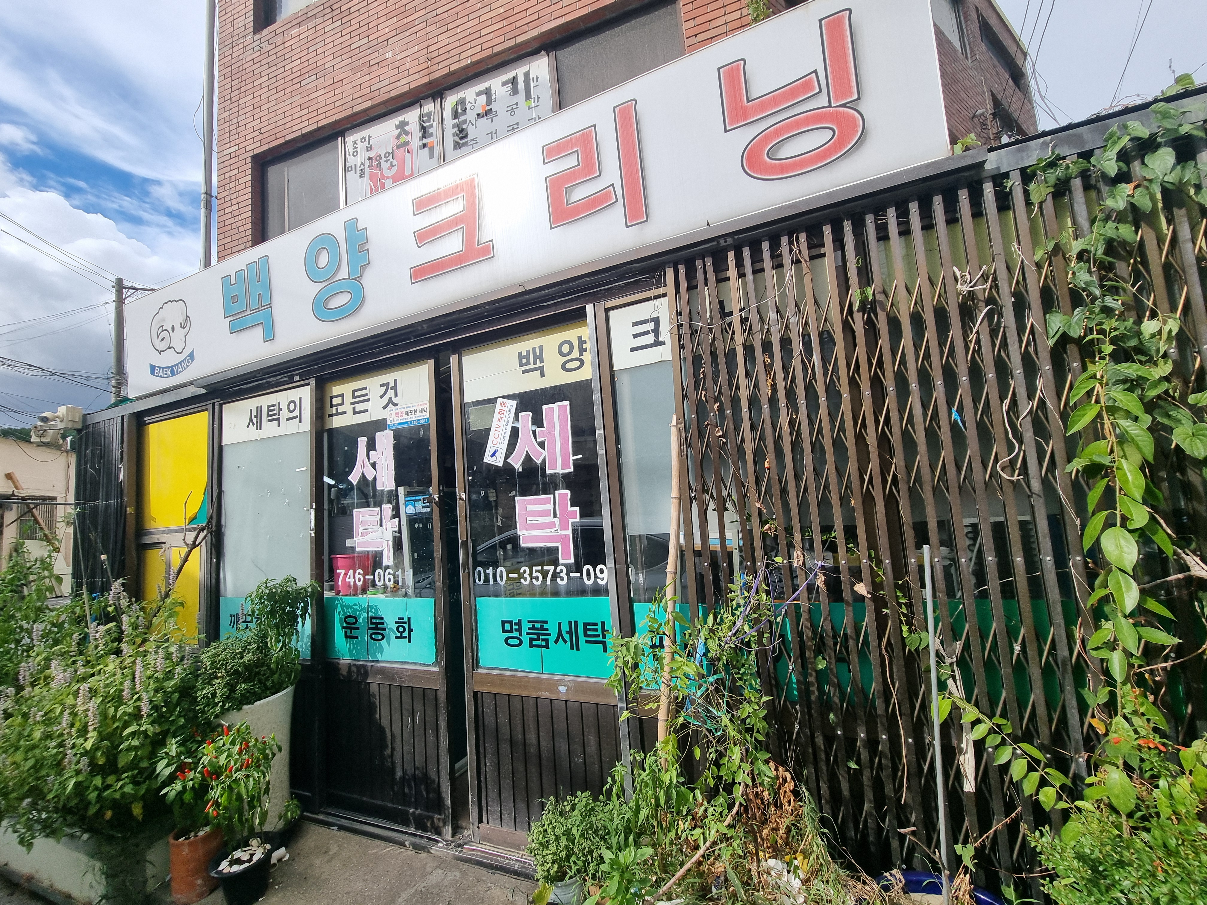 백양사