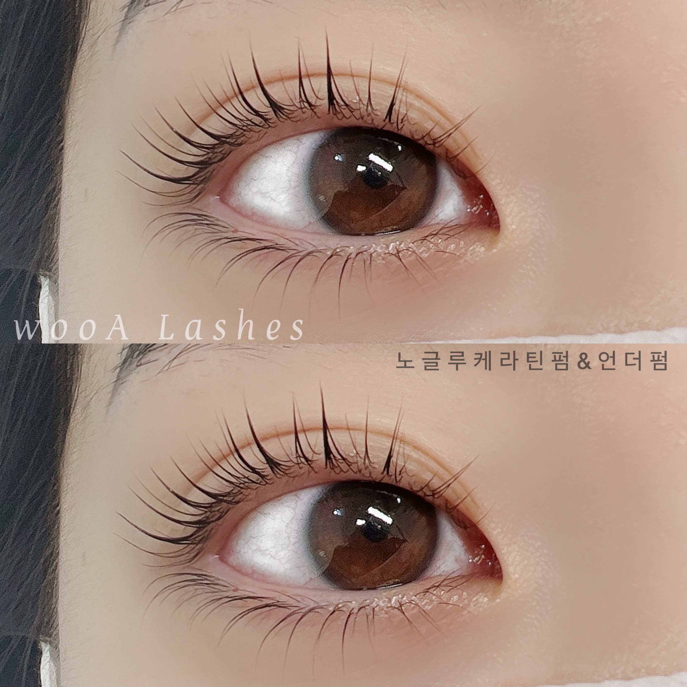 우아래쉬스 대표 이미지